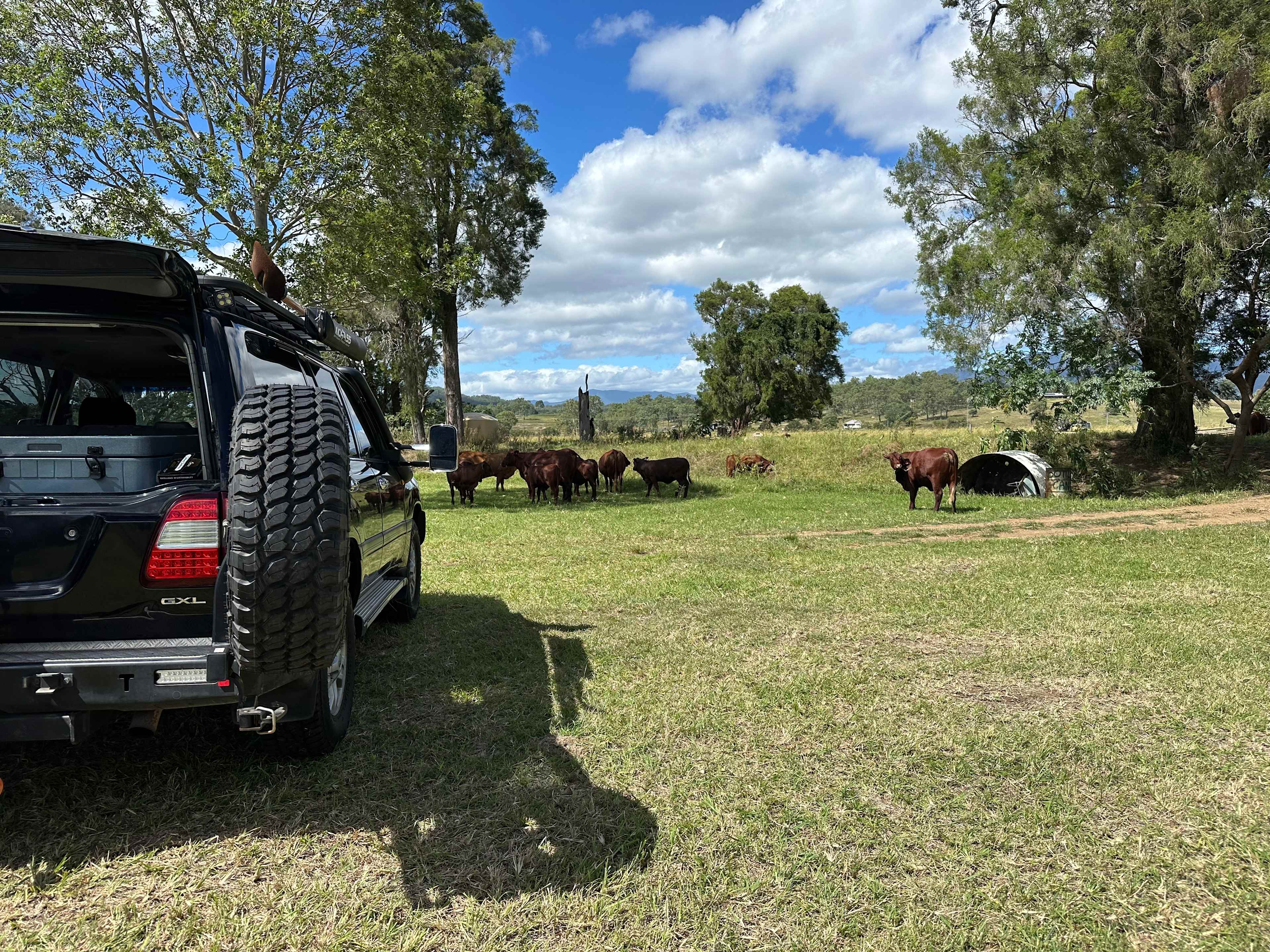 Warrill Creek Camping