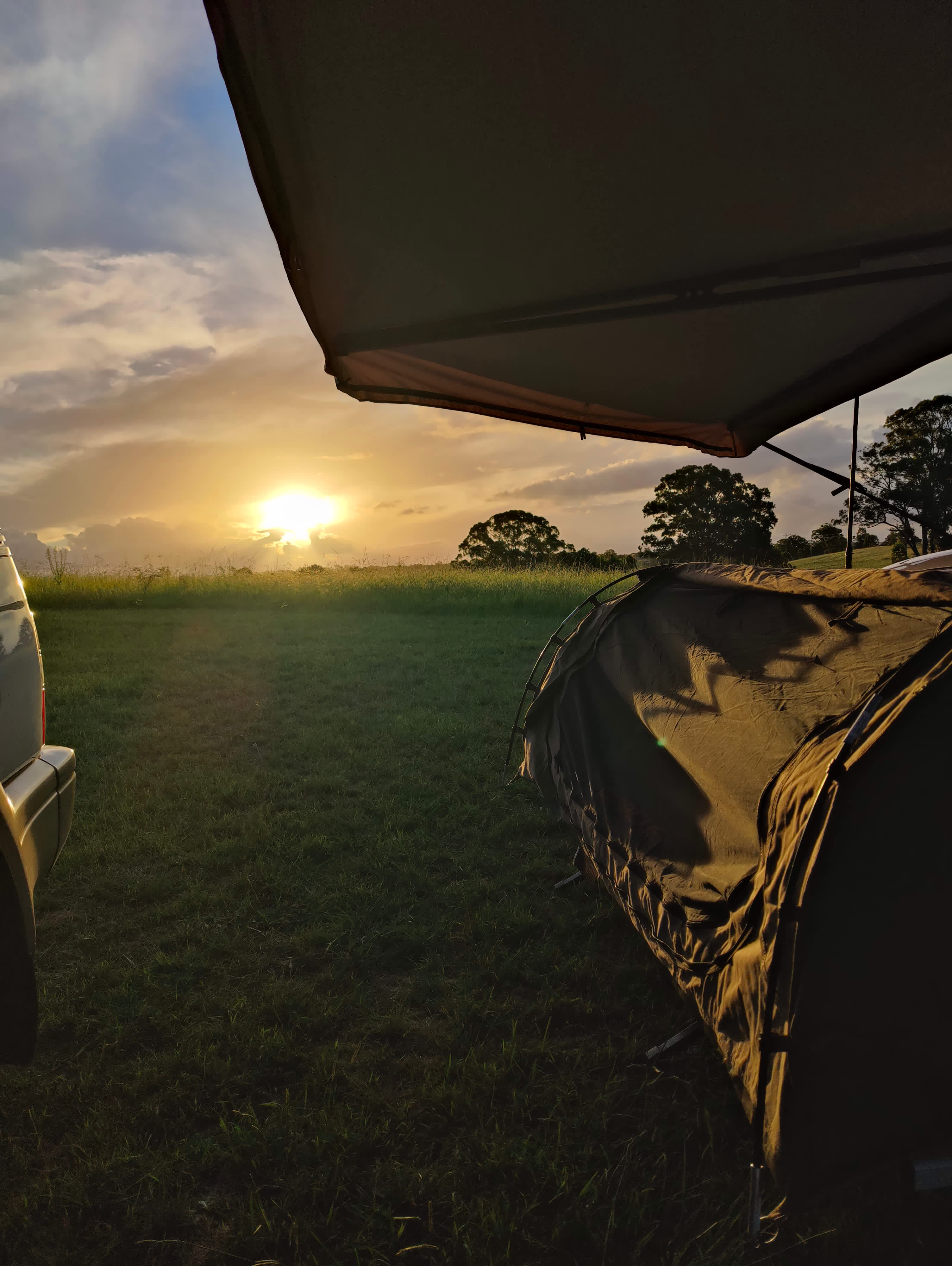 Avoca @ Coromandel Agistment