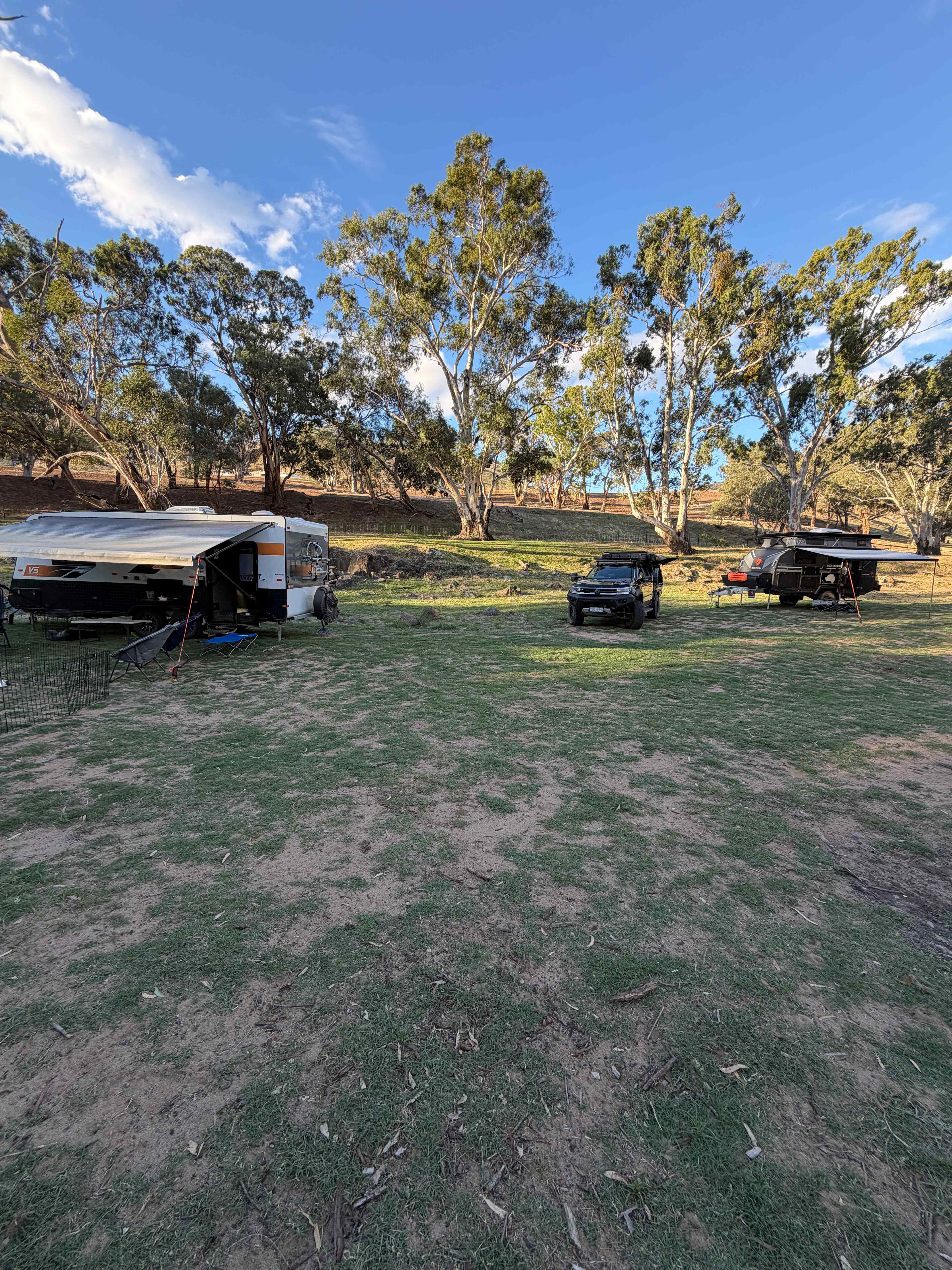 Jarabin on the Murrumbidgee