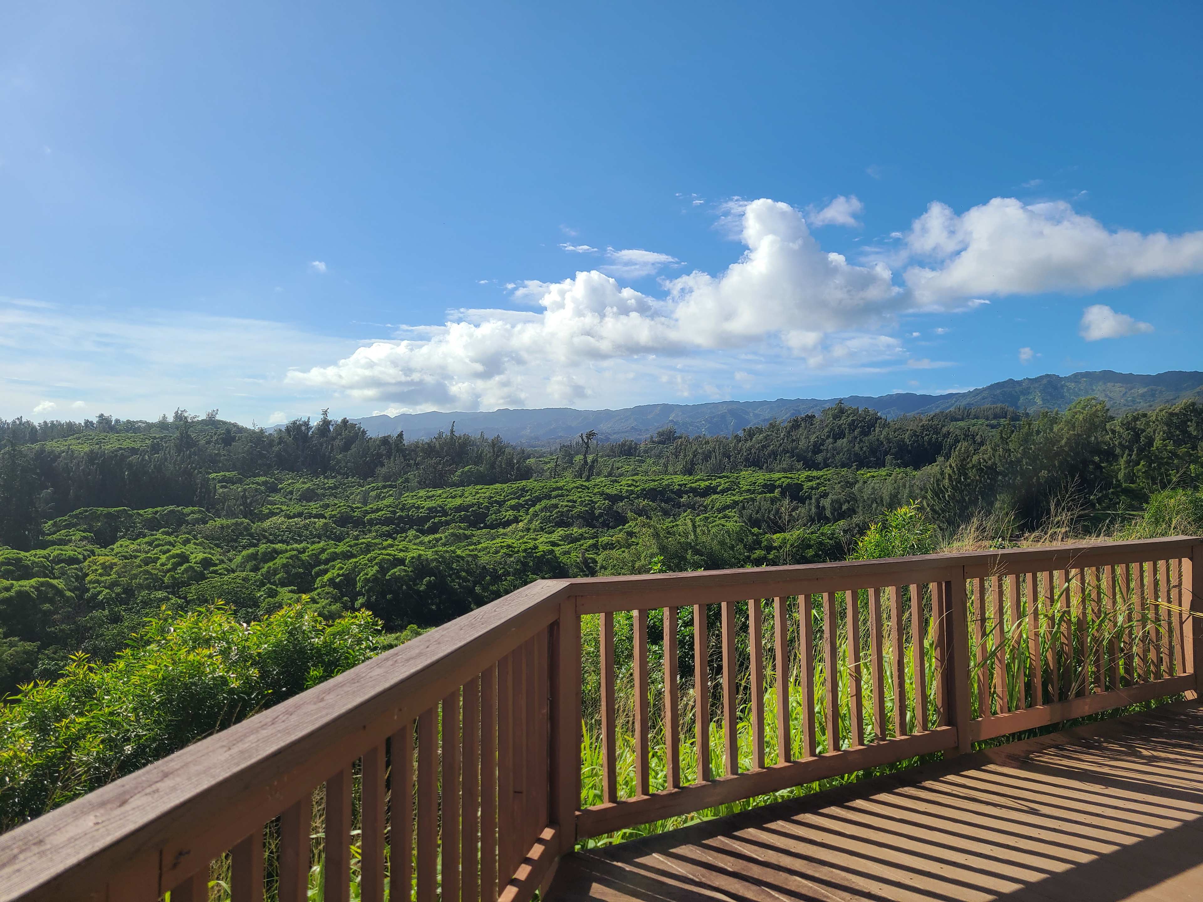 Green Hills Organic Farm