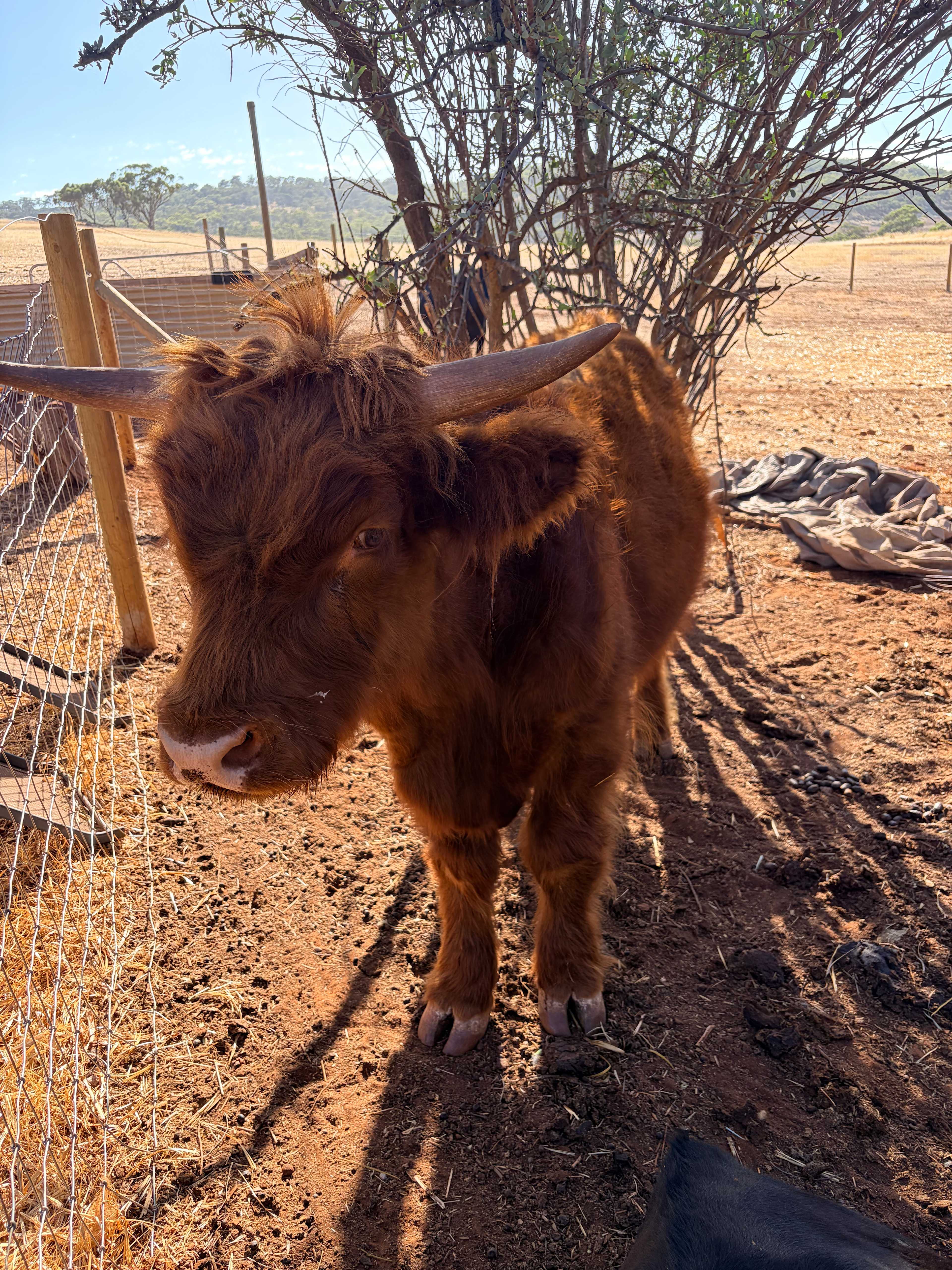 Sandalwood Downs  Farm Stay Toodyay