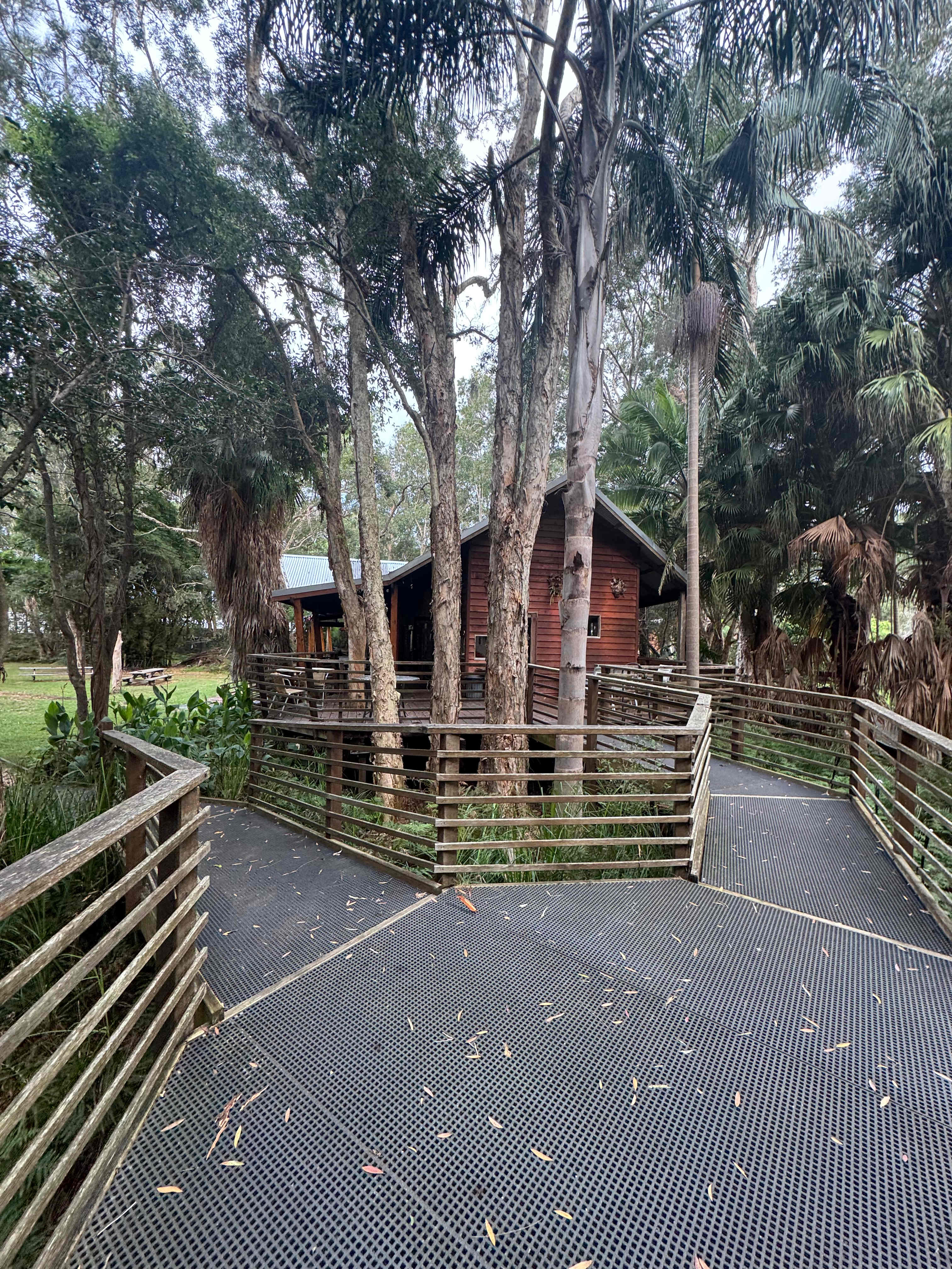 Melaleuca at One Mile