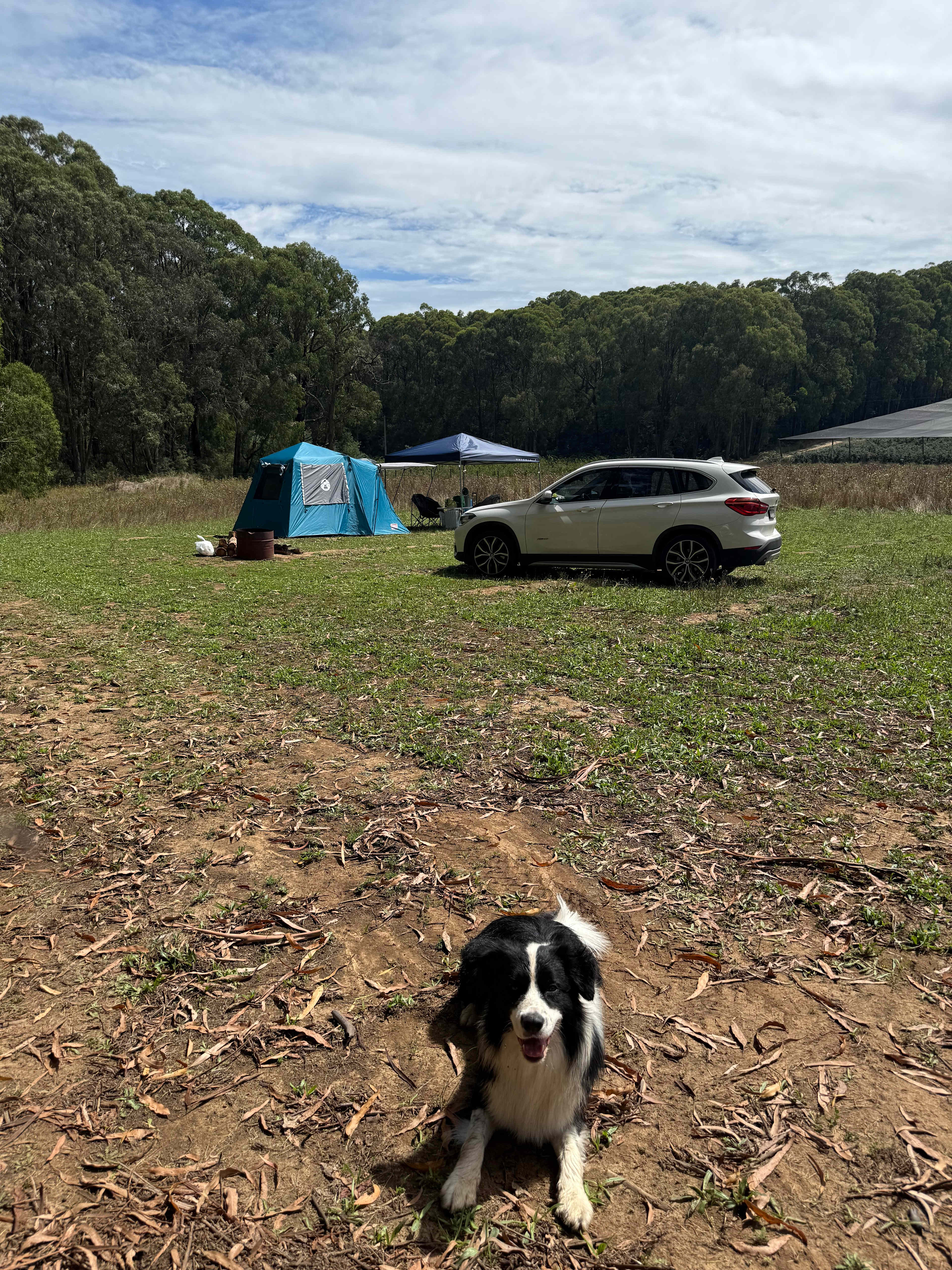 Nerrigundah Contrée Sauvage