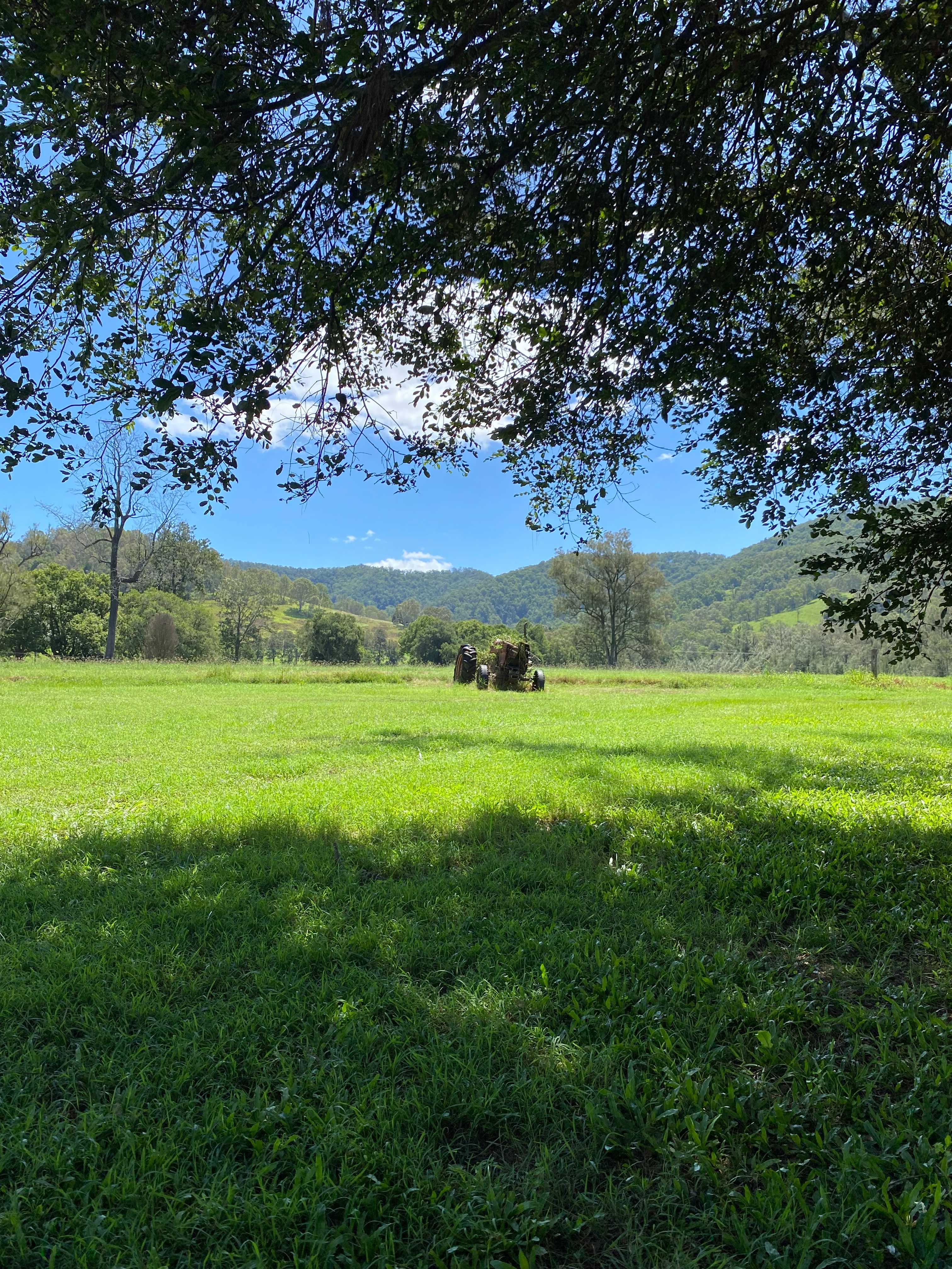 Guppy Gully on the Mary