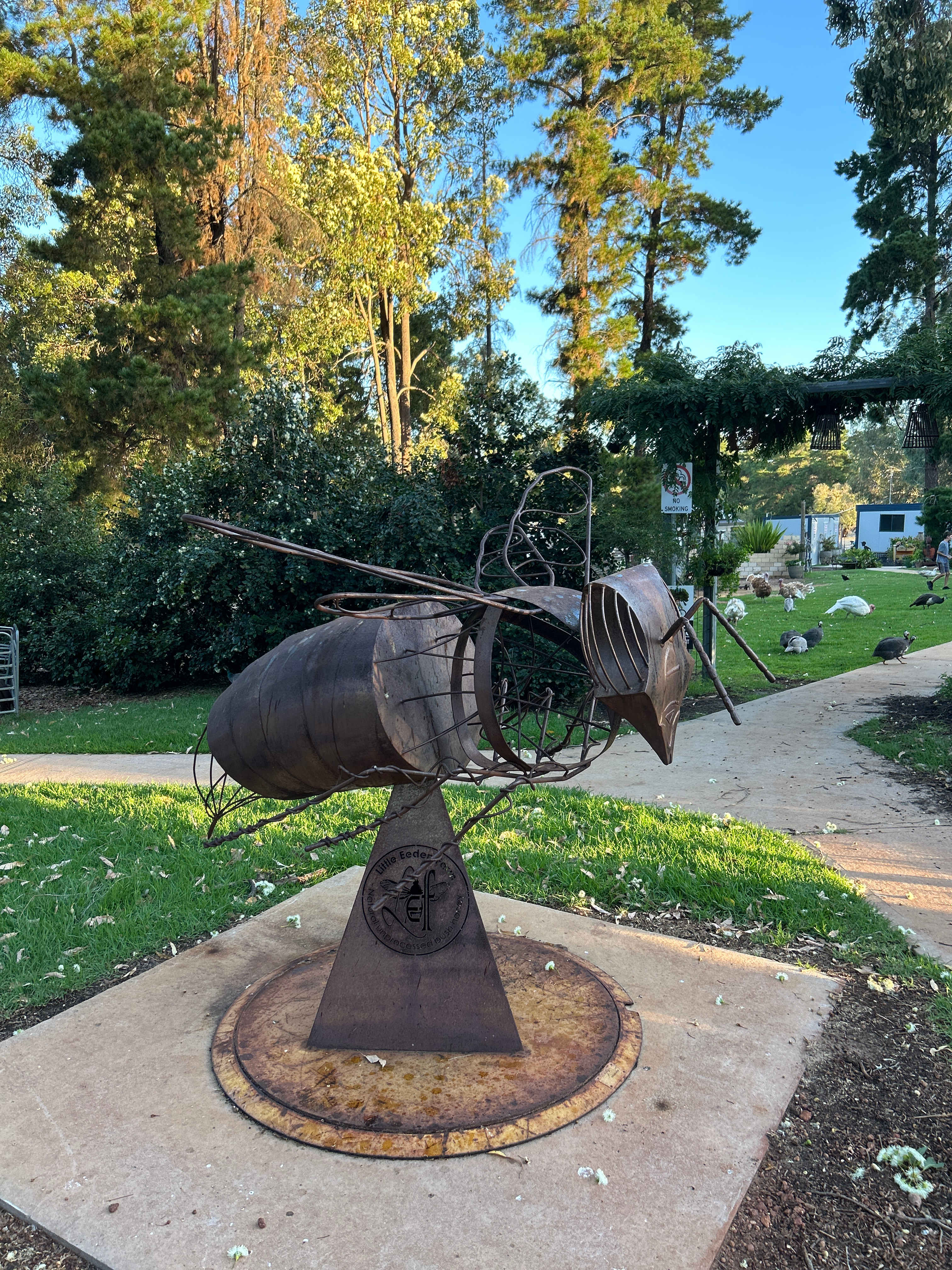 Little Eeden Farm Pine Camp