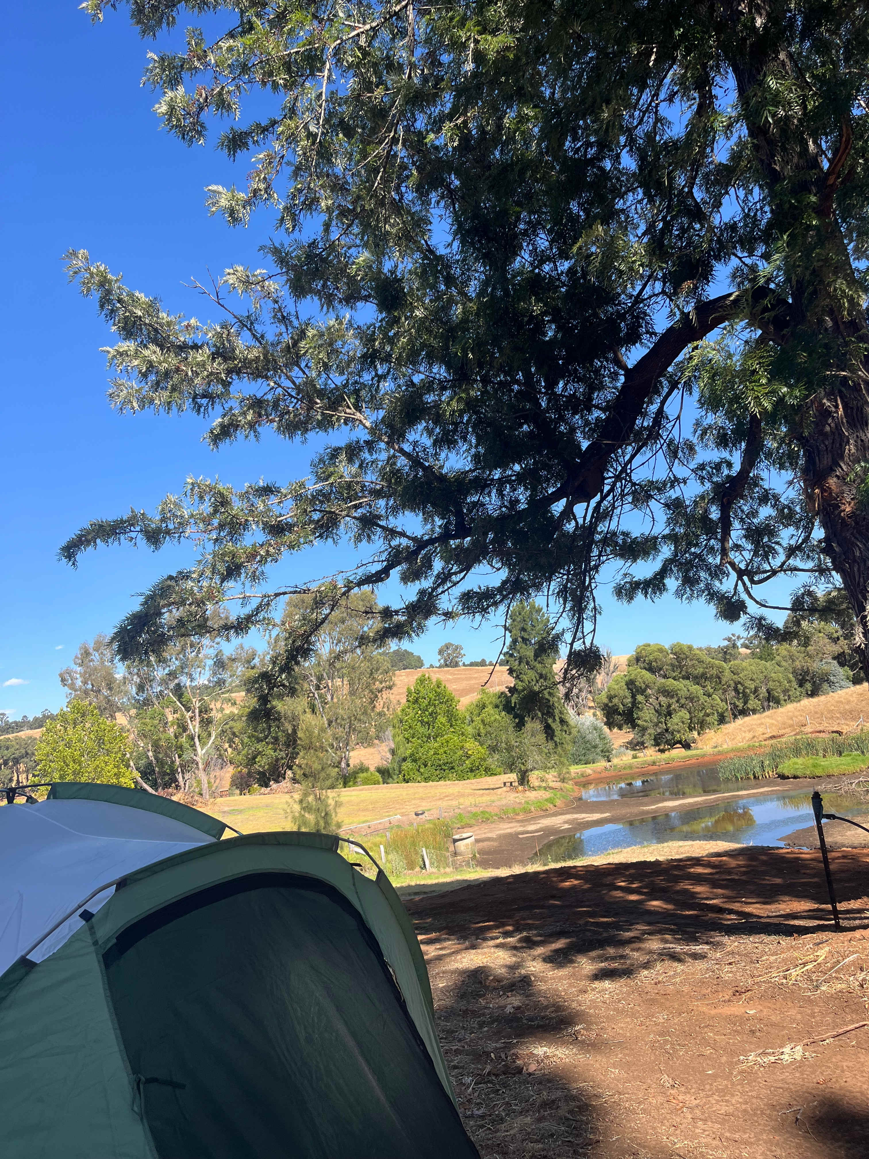 Hester valley camping
