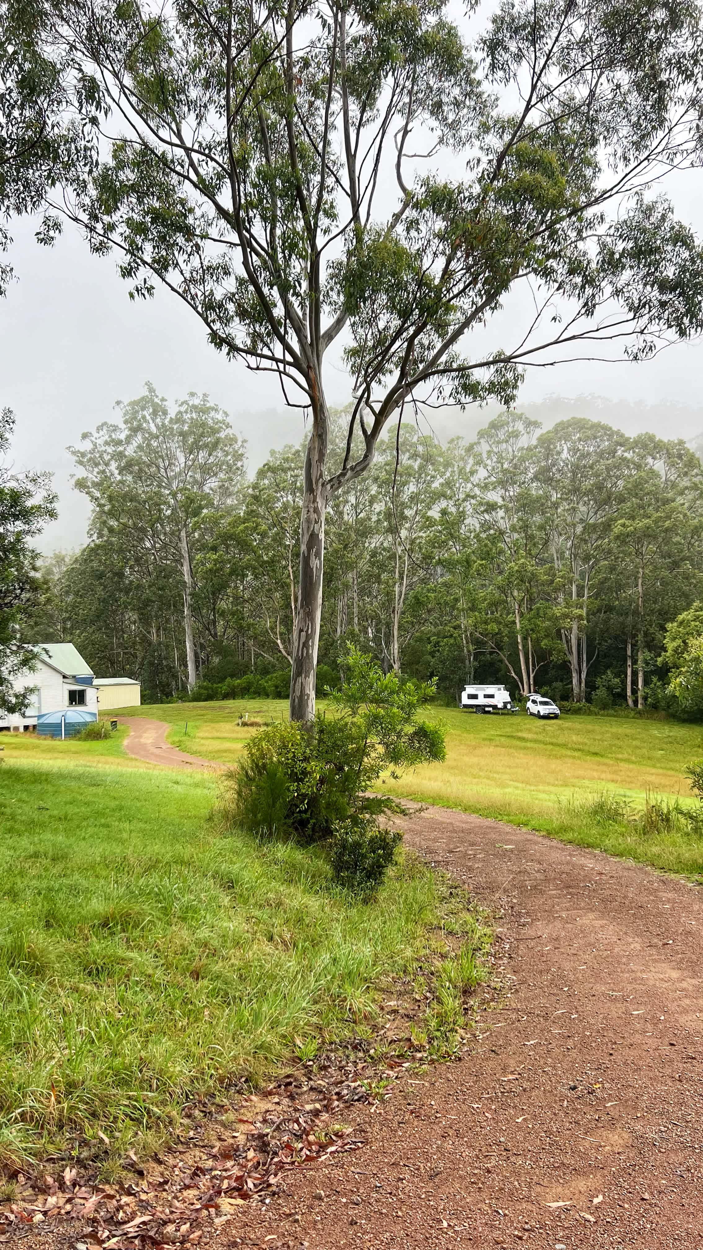 Little Plain Hall Grounds