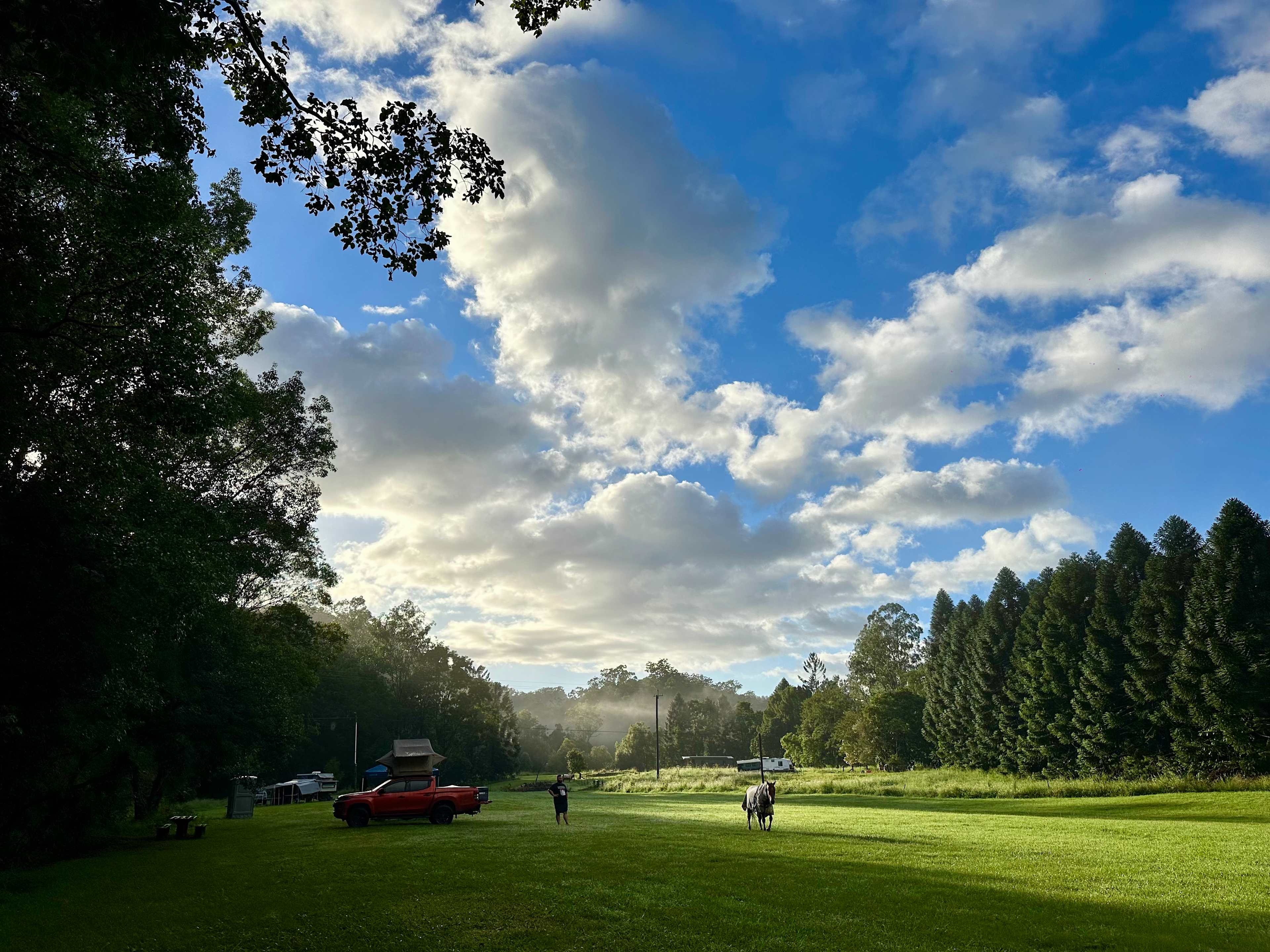 Rowlands Creek Camp Area