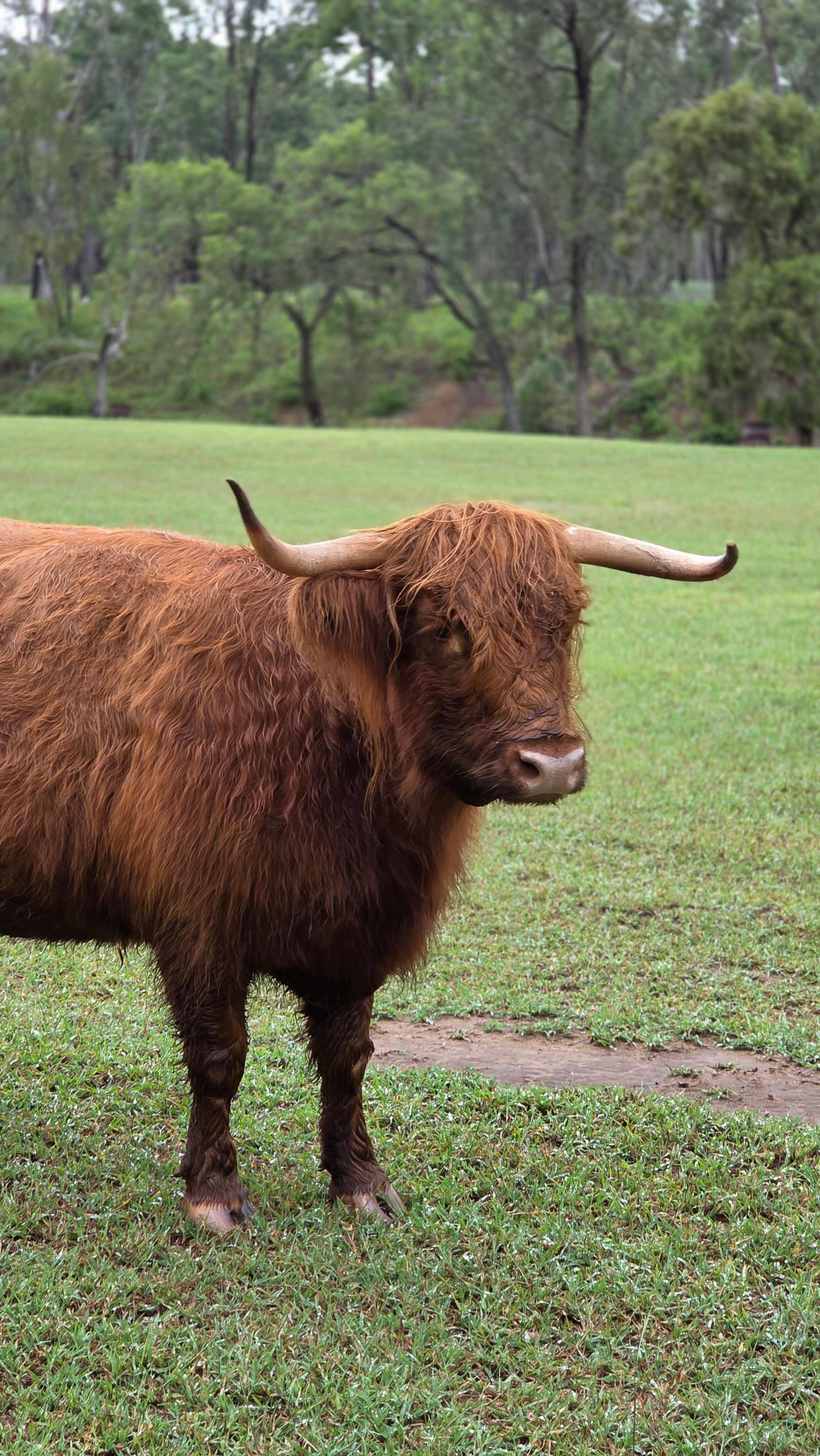 Rocky Creek Homestead