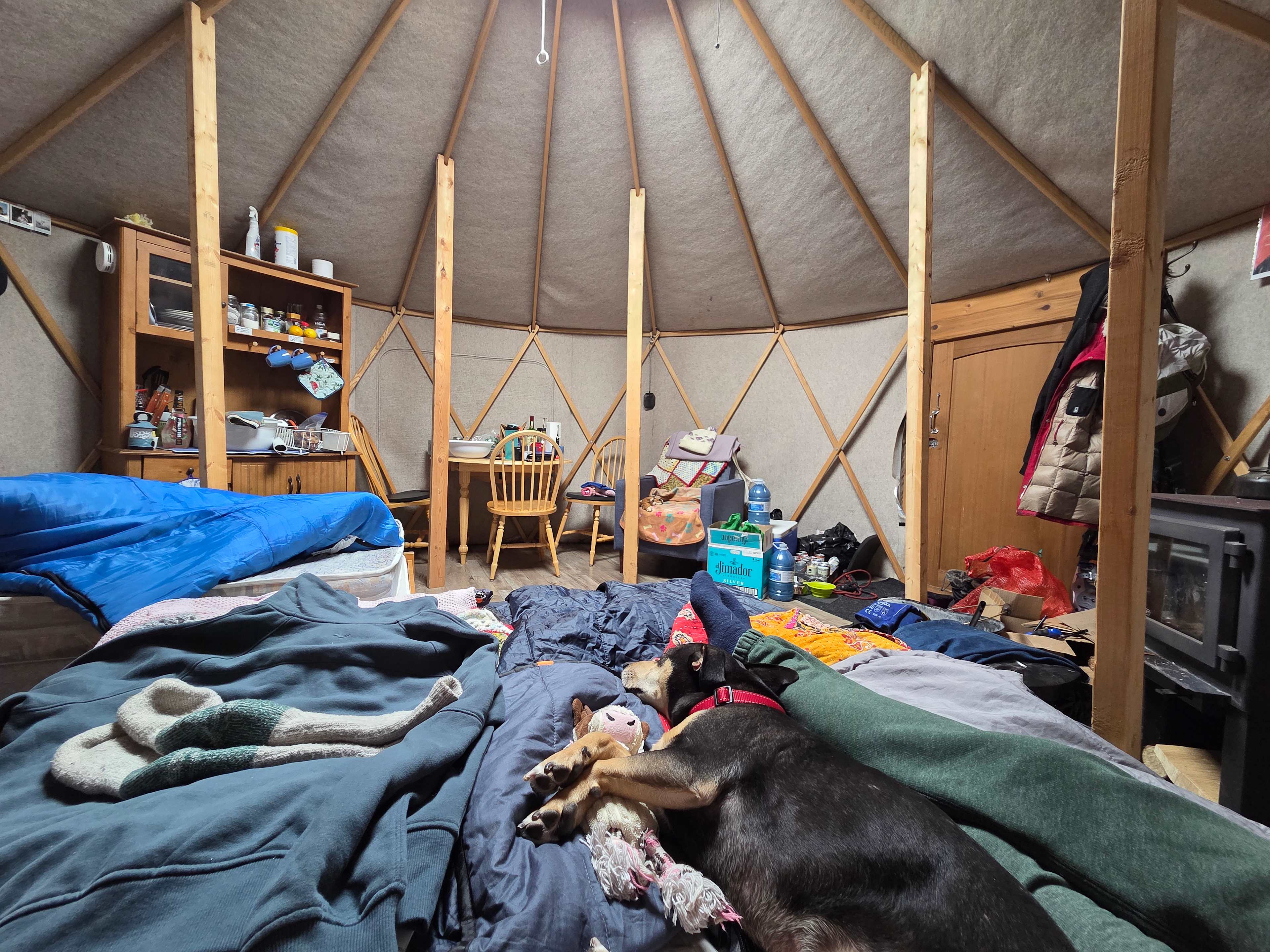 Yurt at Paisley Mill