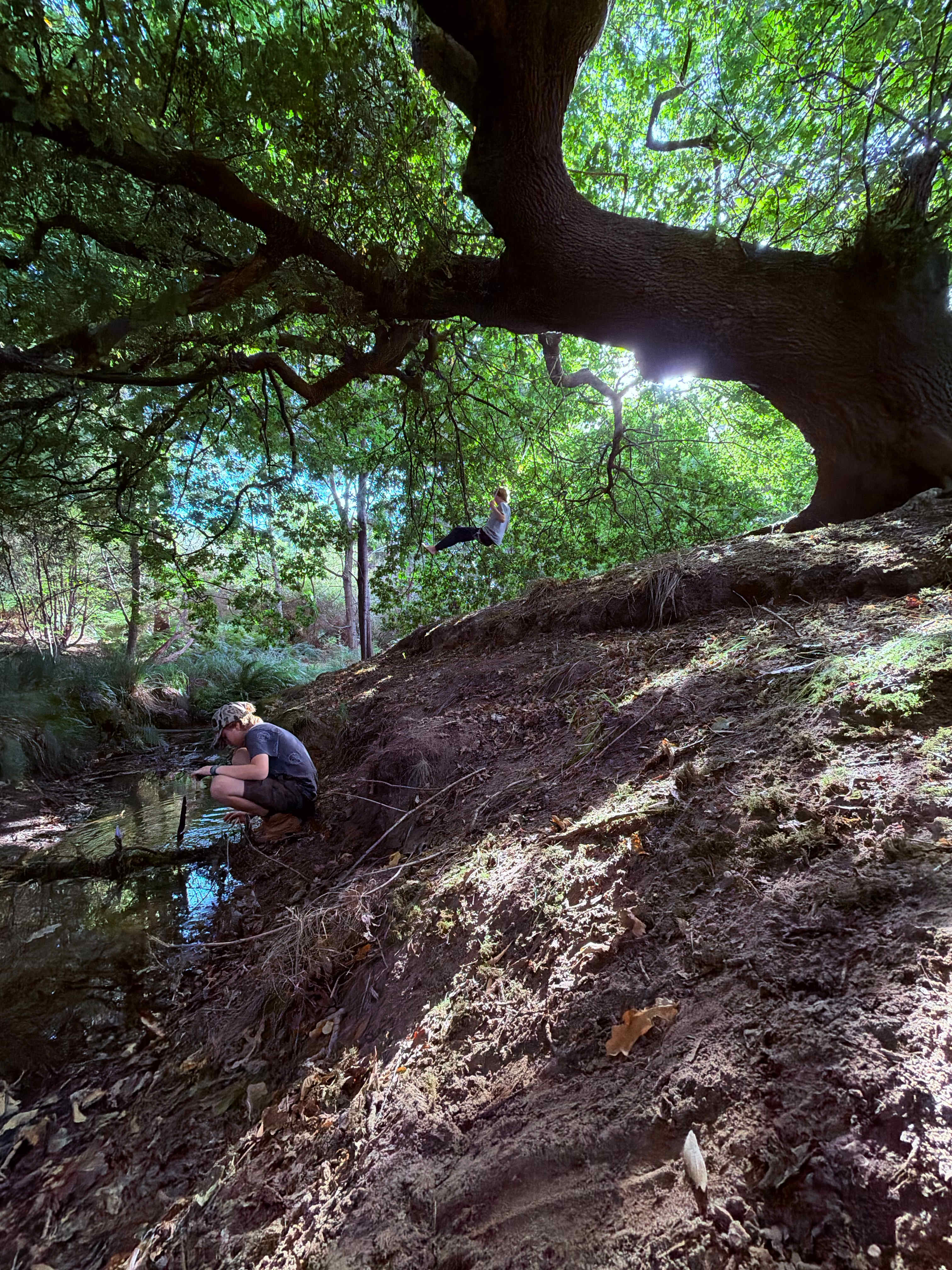 Woodleigh - where beach meets bush