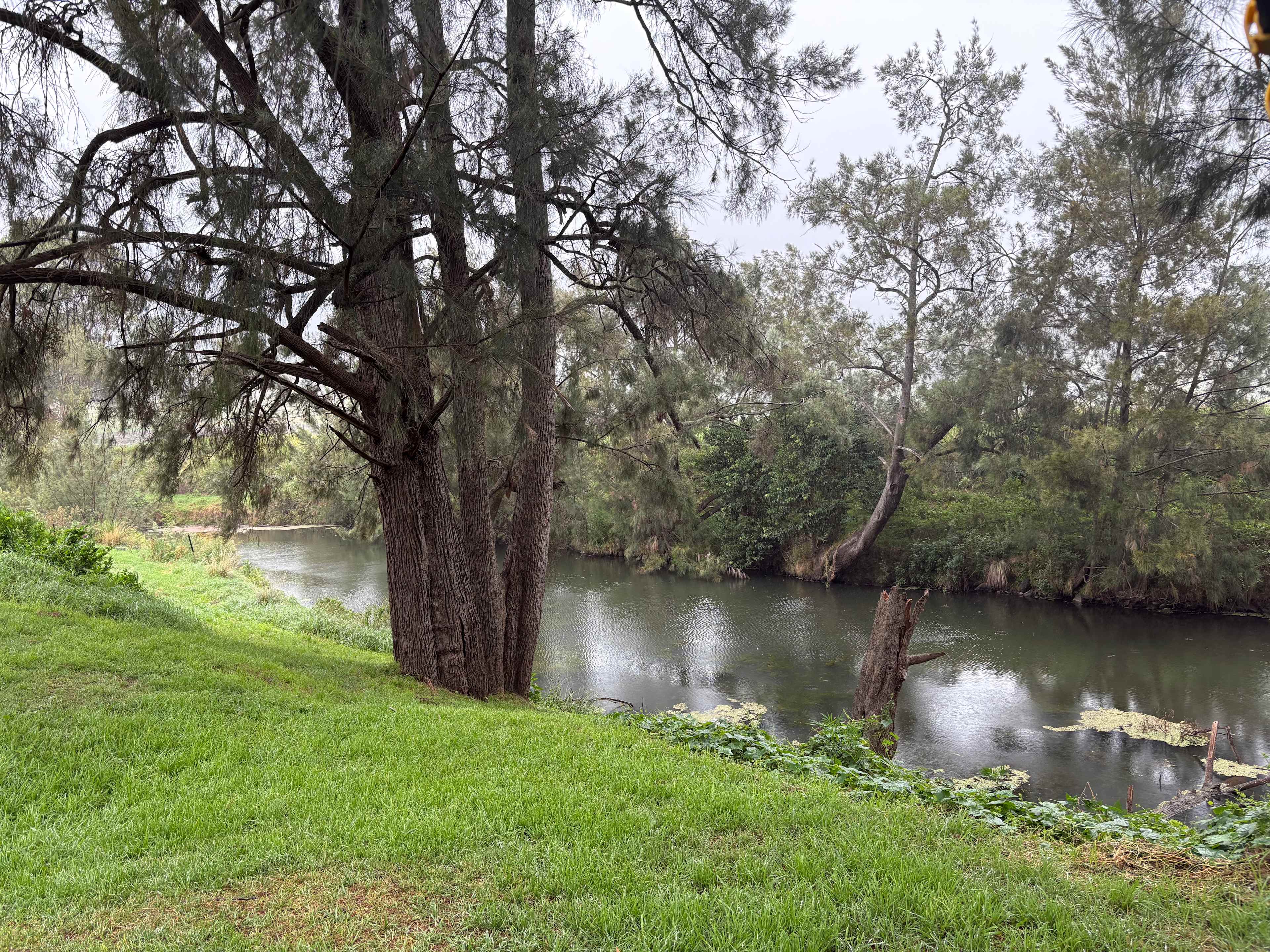 Wynola Country Cousins