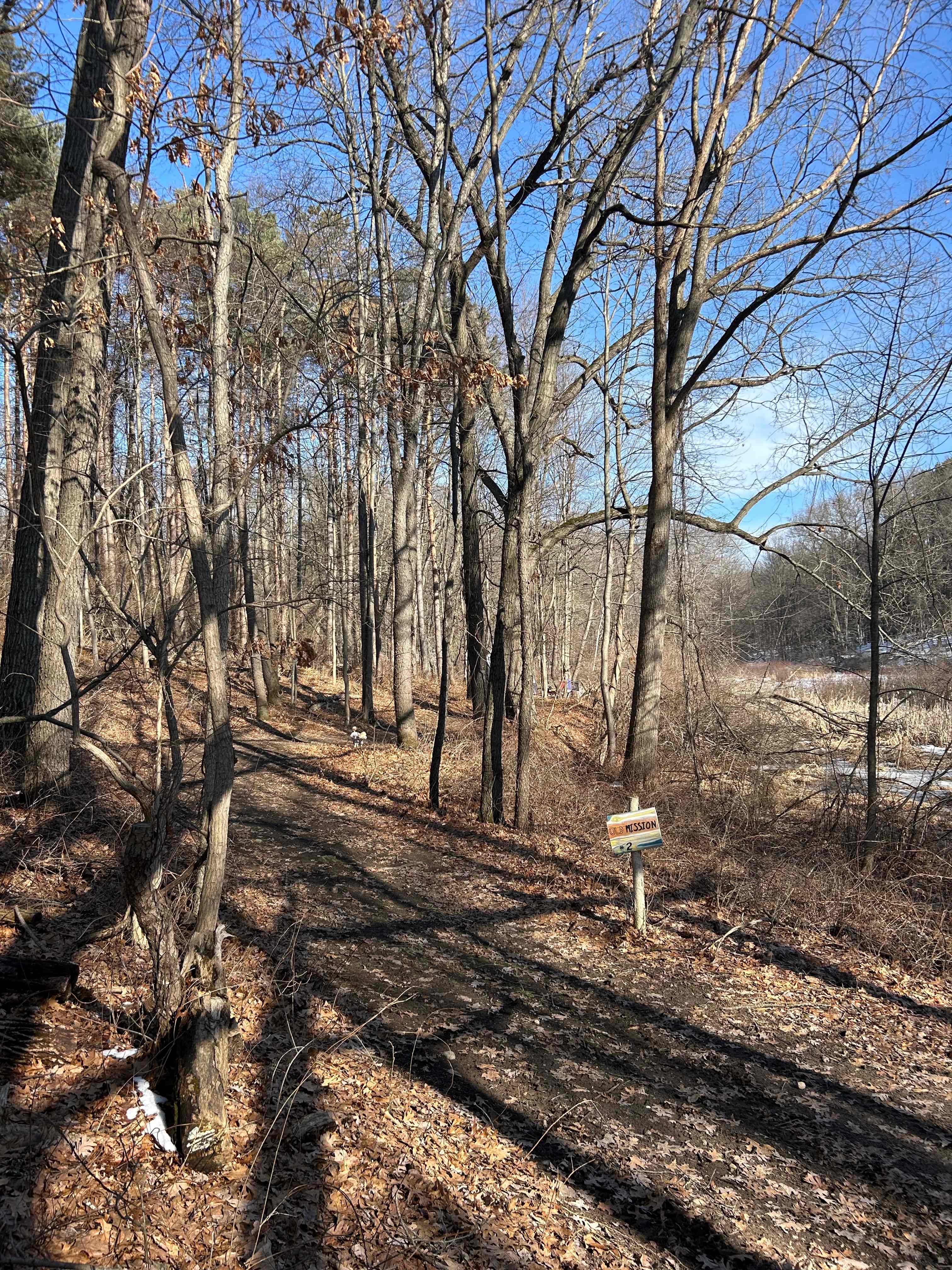 Mulligan's Valley in the Woods