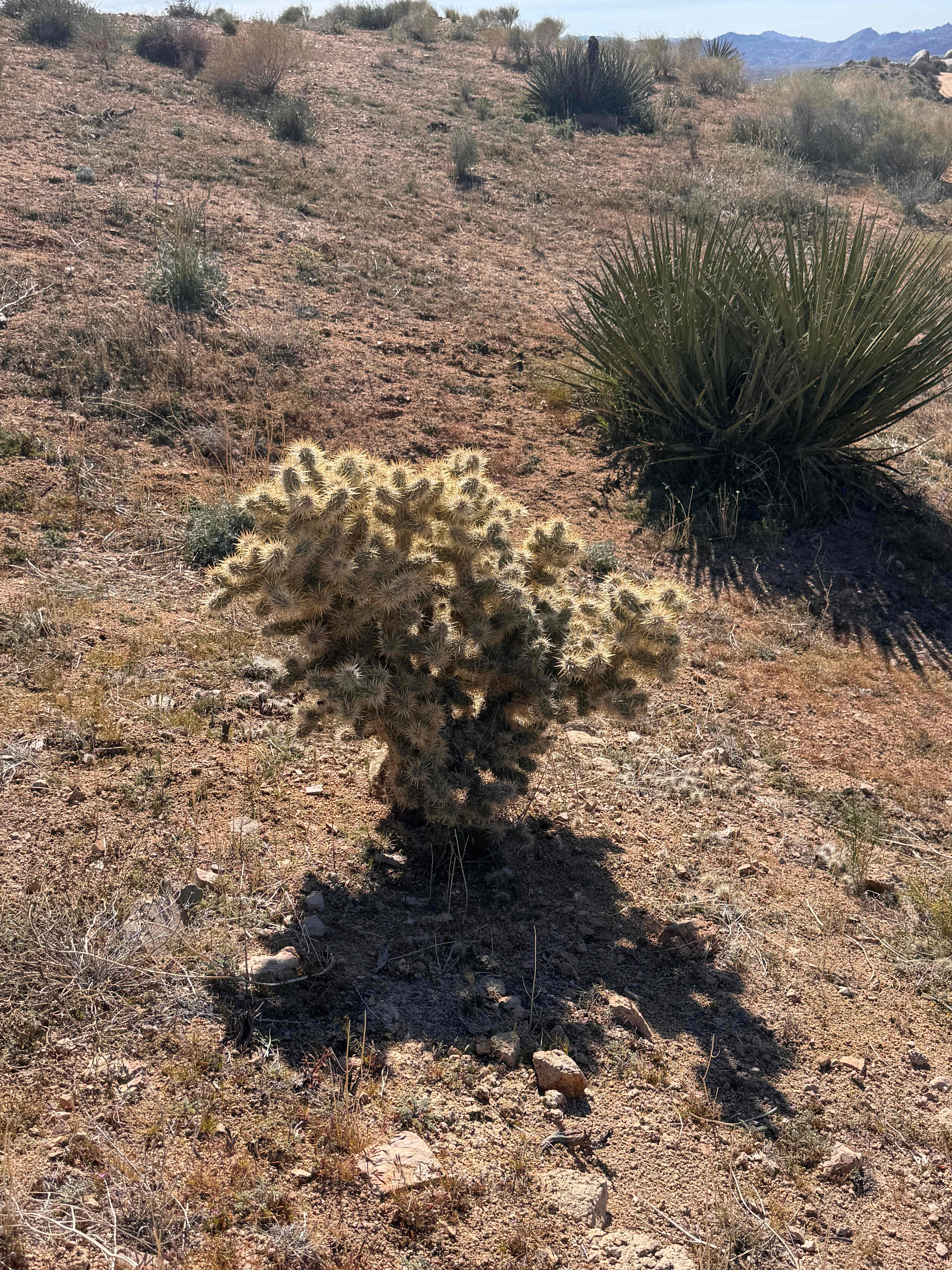 Boulder Gardens Sanctuary