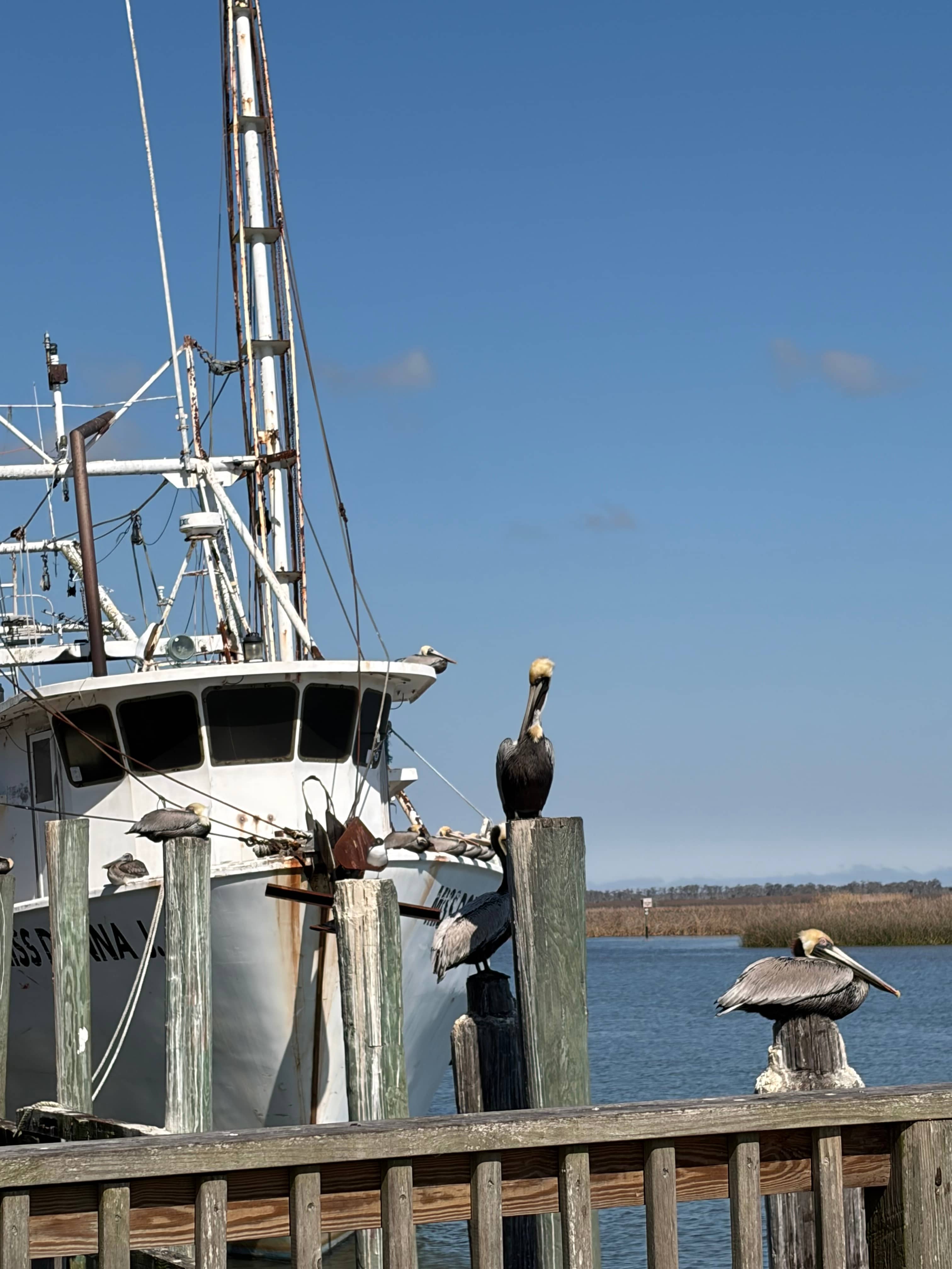 Apalachicola RVCamp w/Utility& Dock