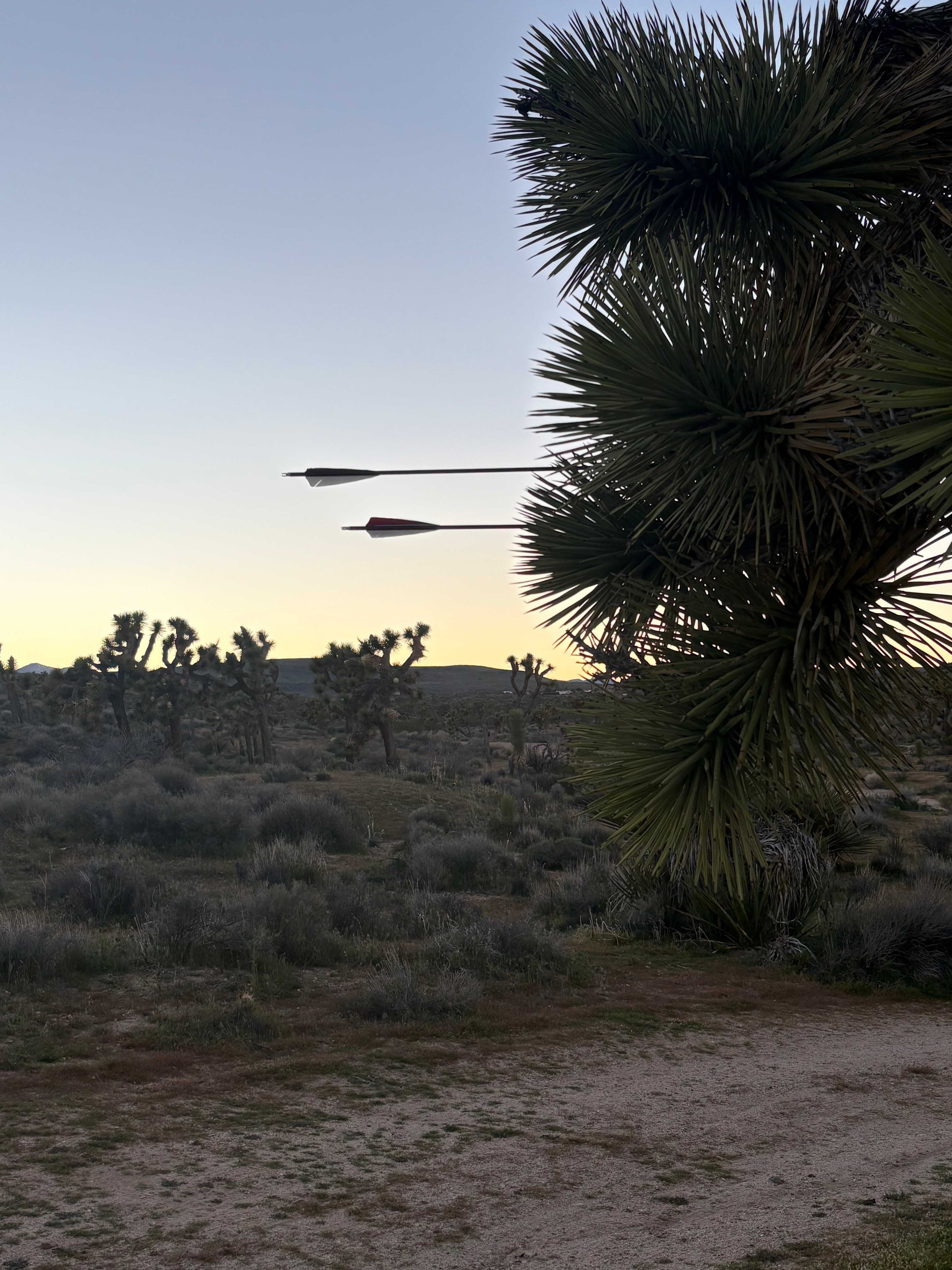 Views! 15 min to Joshua Park