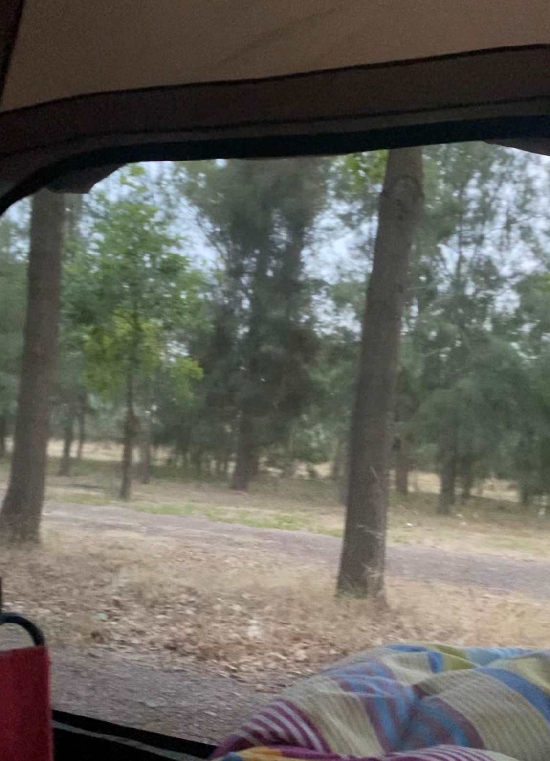 Beautiful view from my bed