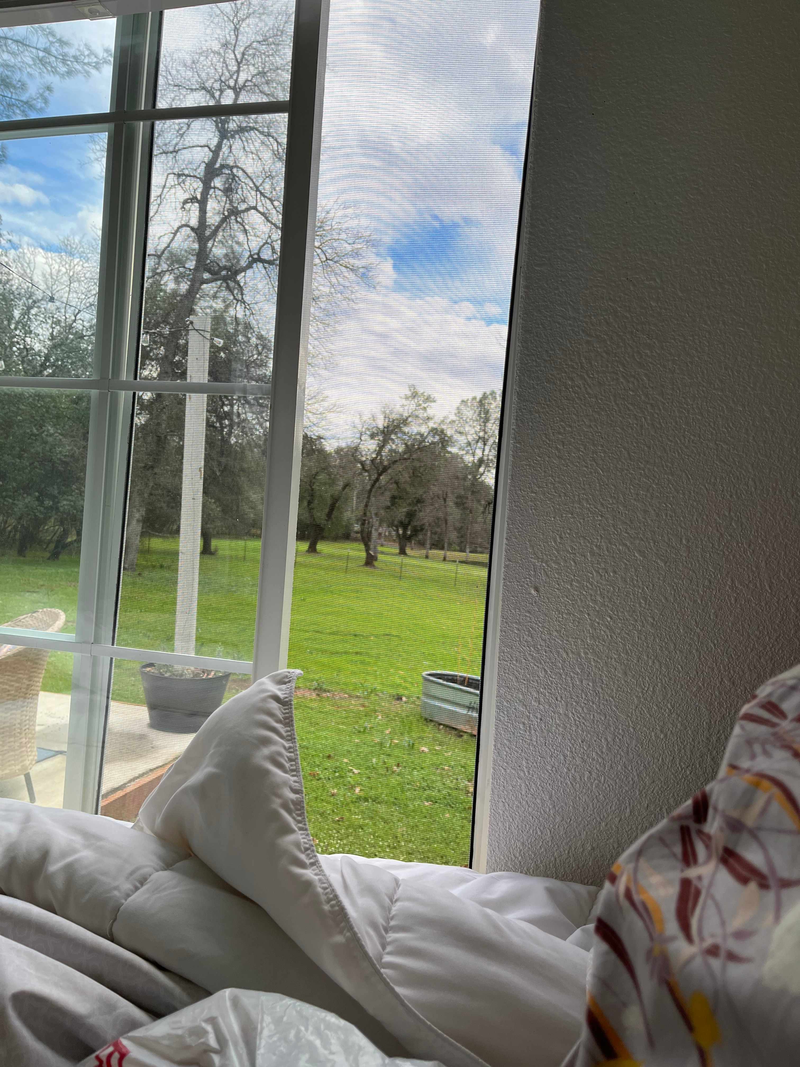 View from the bed on a thunderstorm weekend 