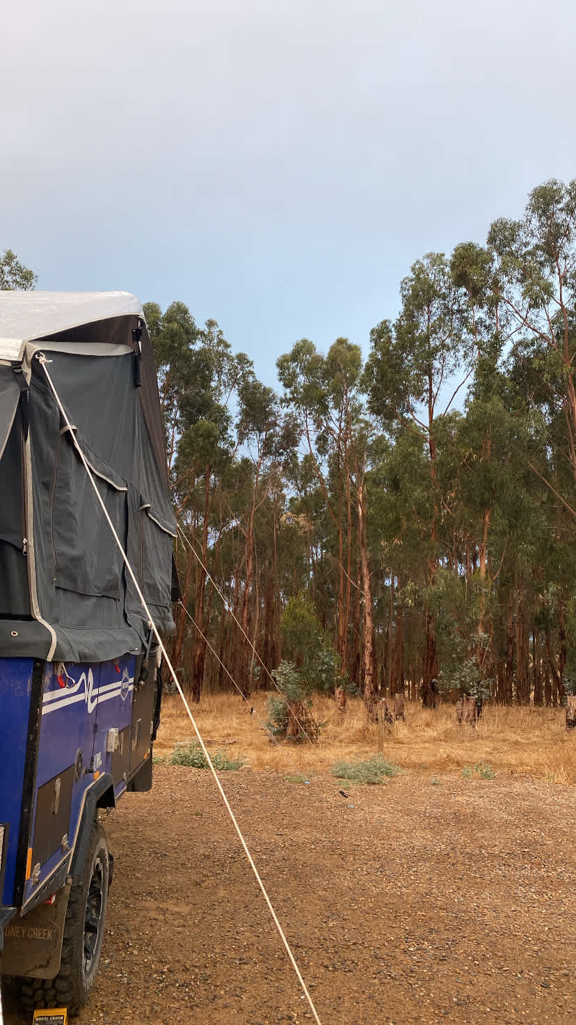 Koala Coast Retreat Farm