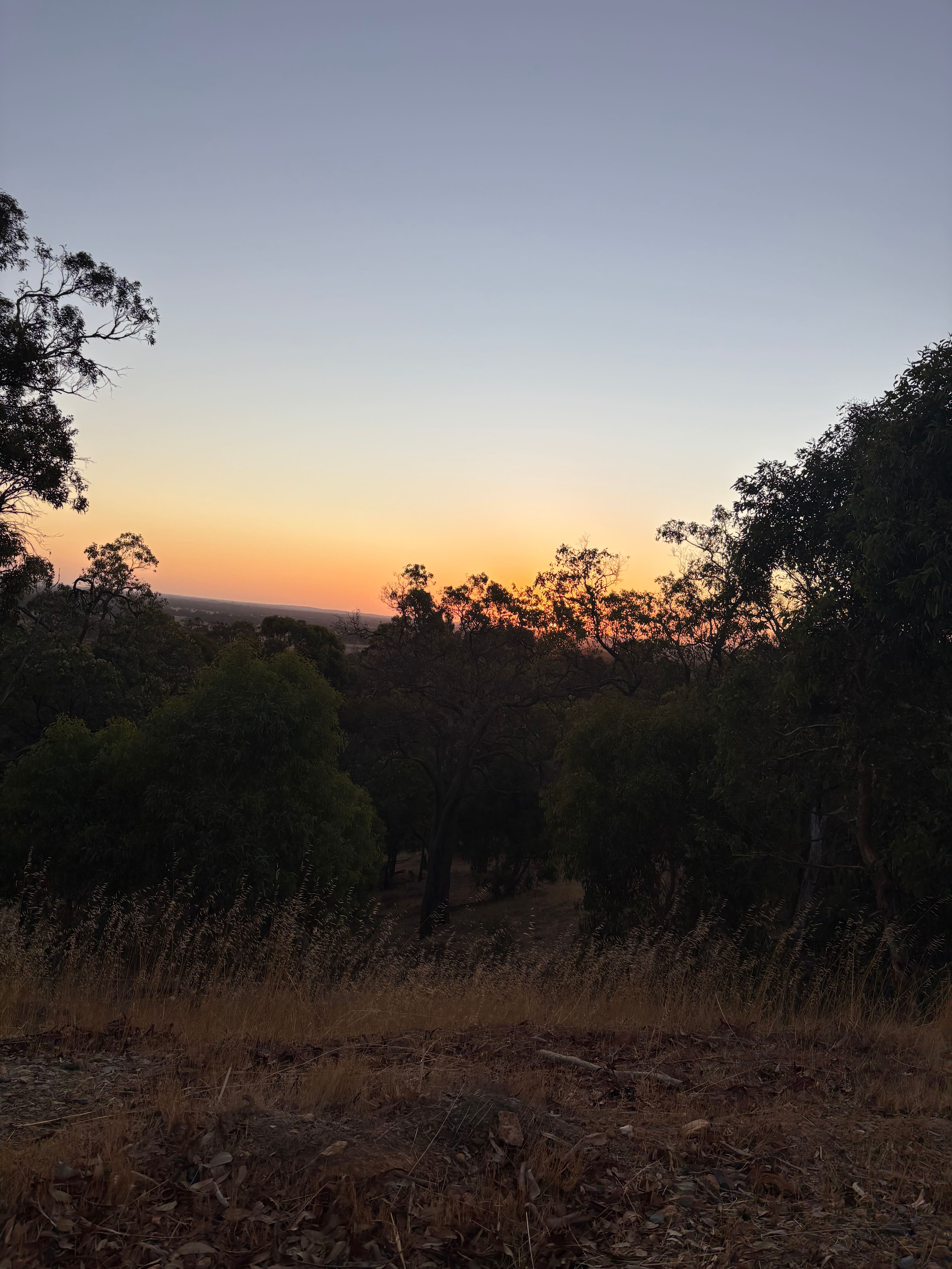 Yarrabah High Country- Jarrahdale