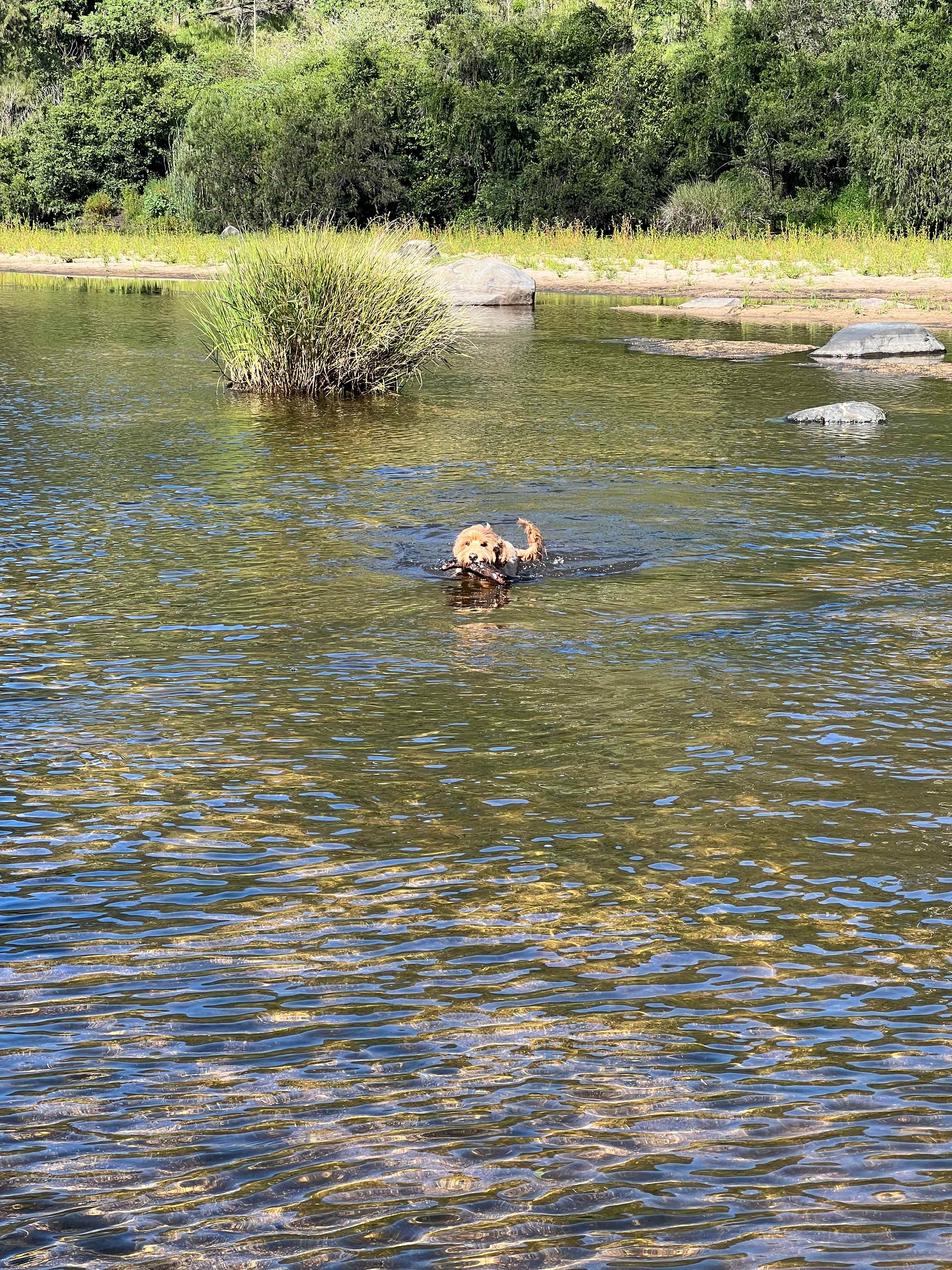 Eagle Ridge Bush Retreat