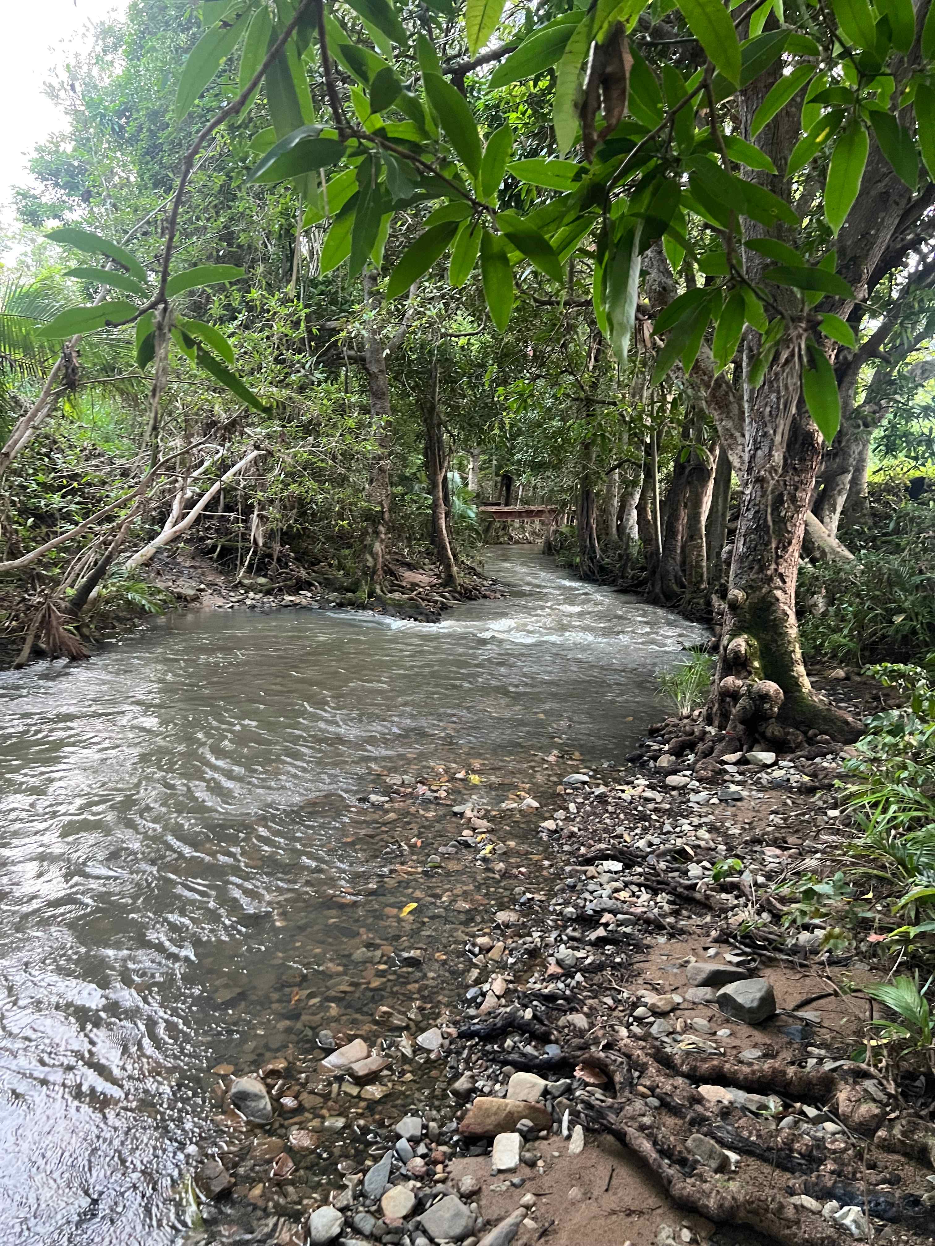 Cattle Camp, Sarina, QLD