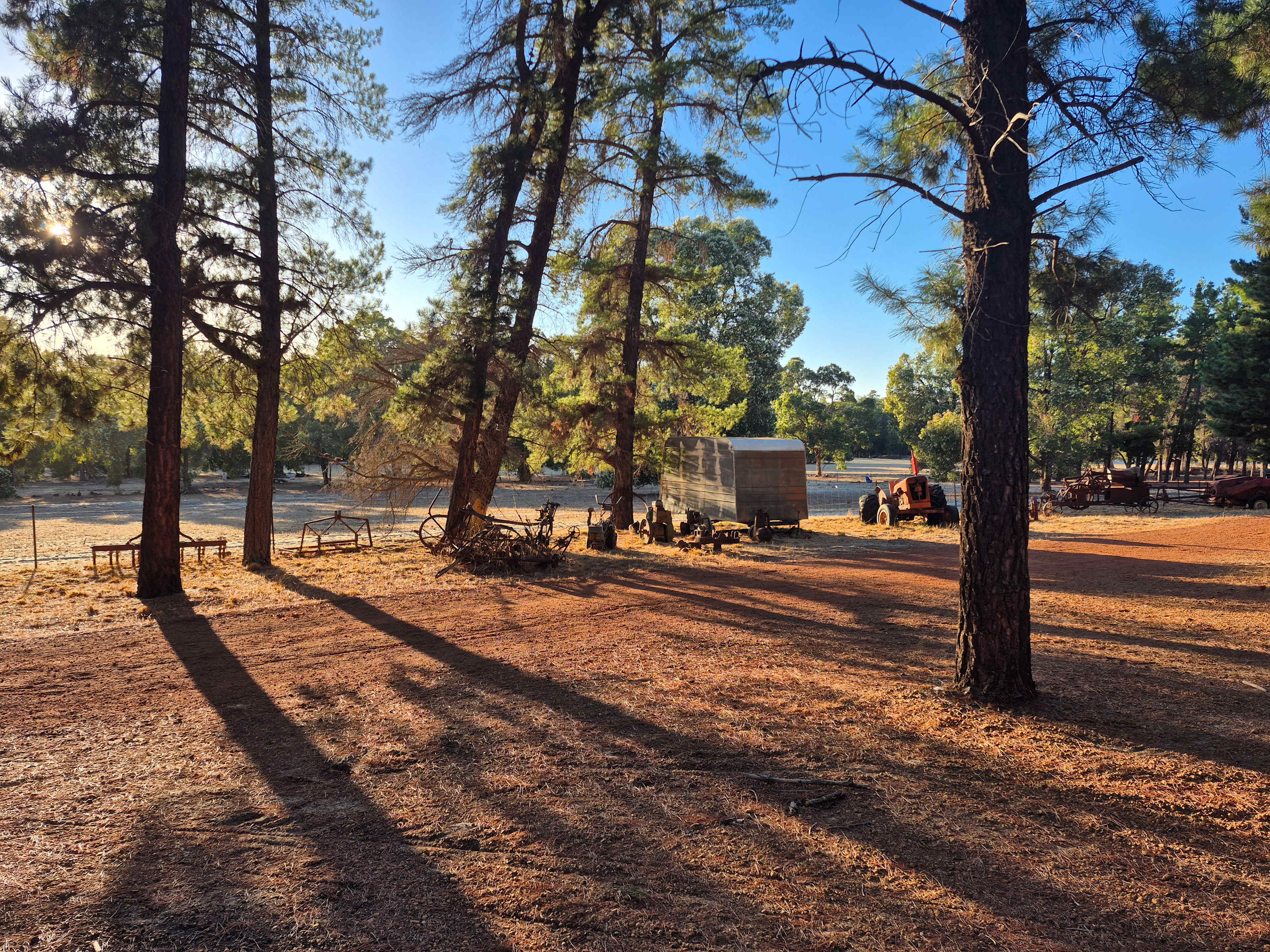 Little Eeden Farm Pine Camp