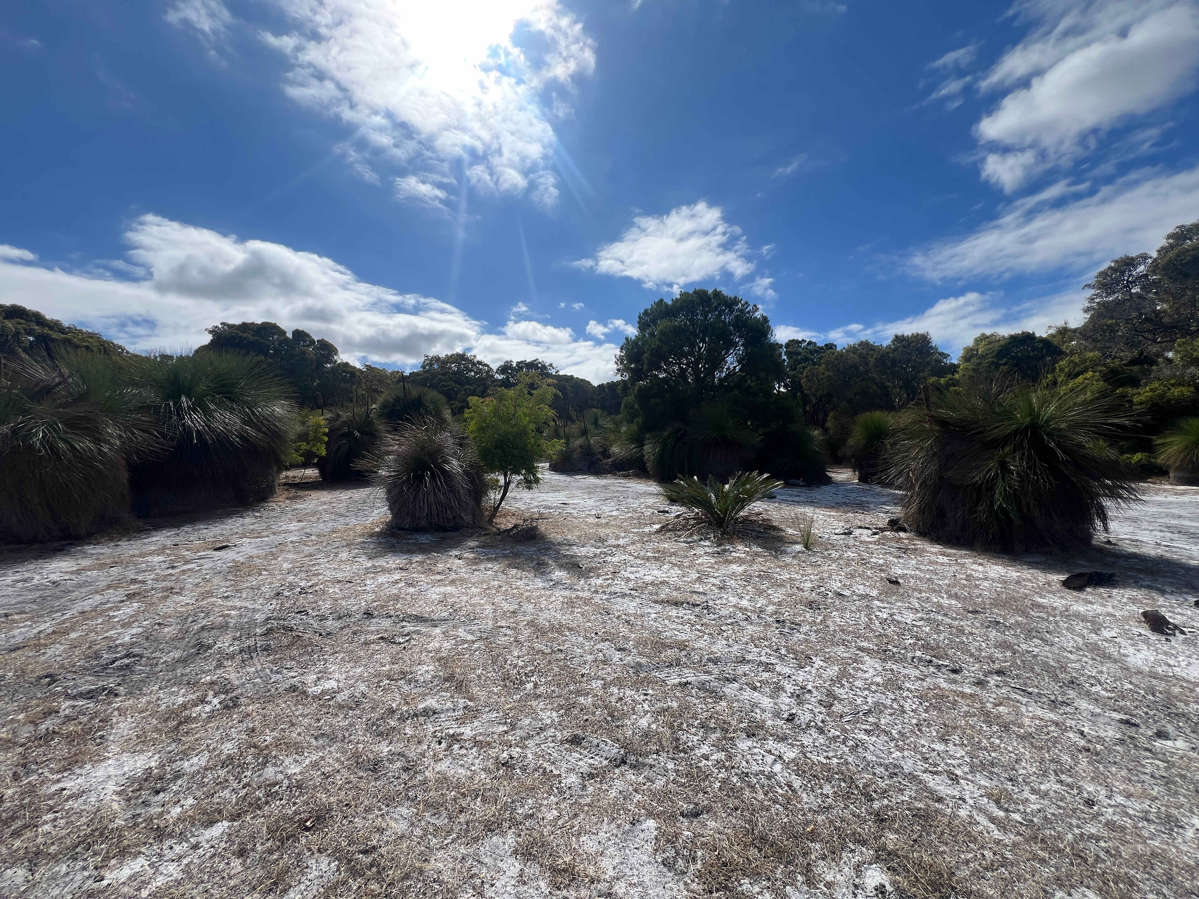 Picture of the site