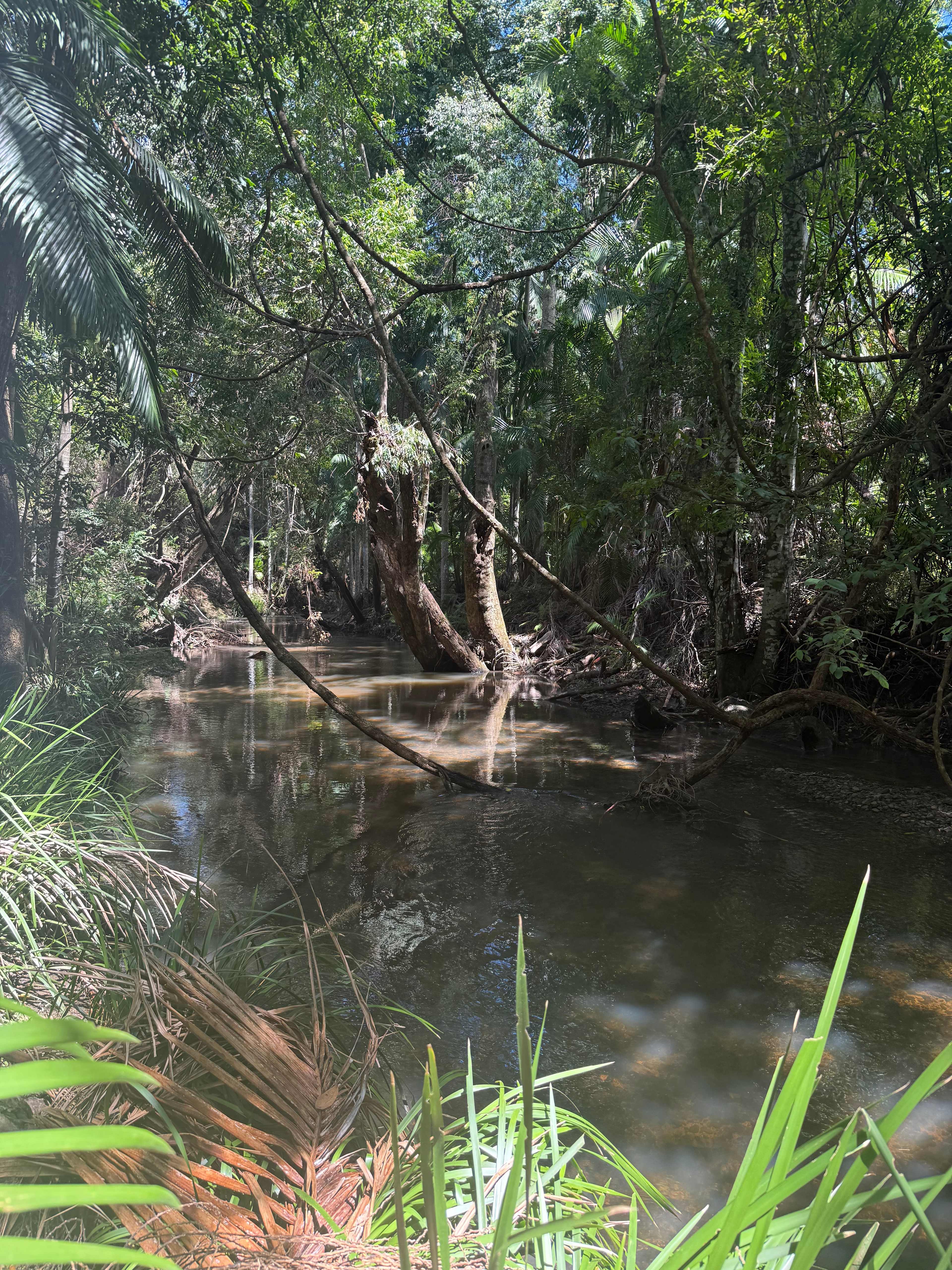 A Place To Call Home