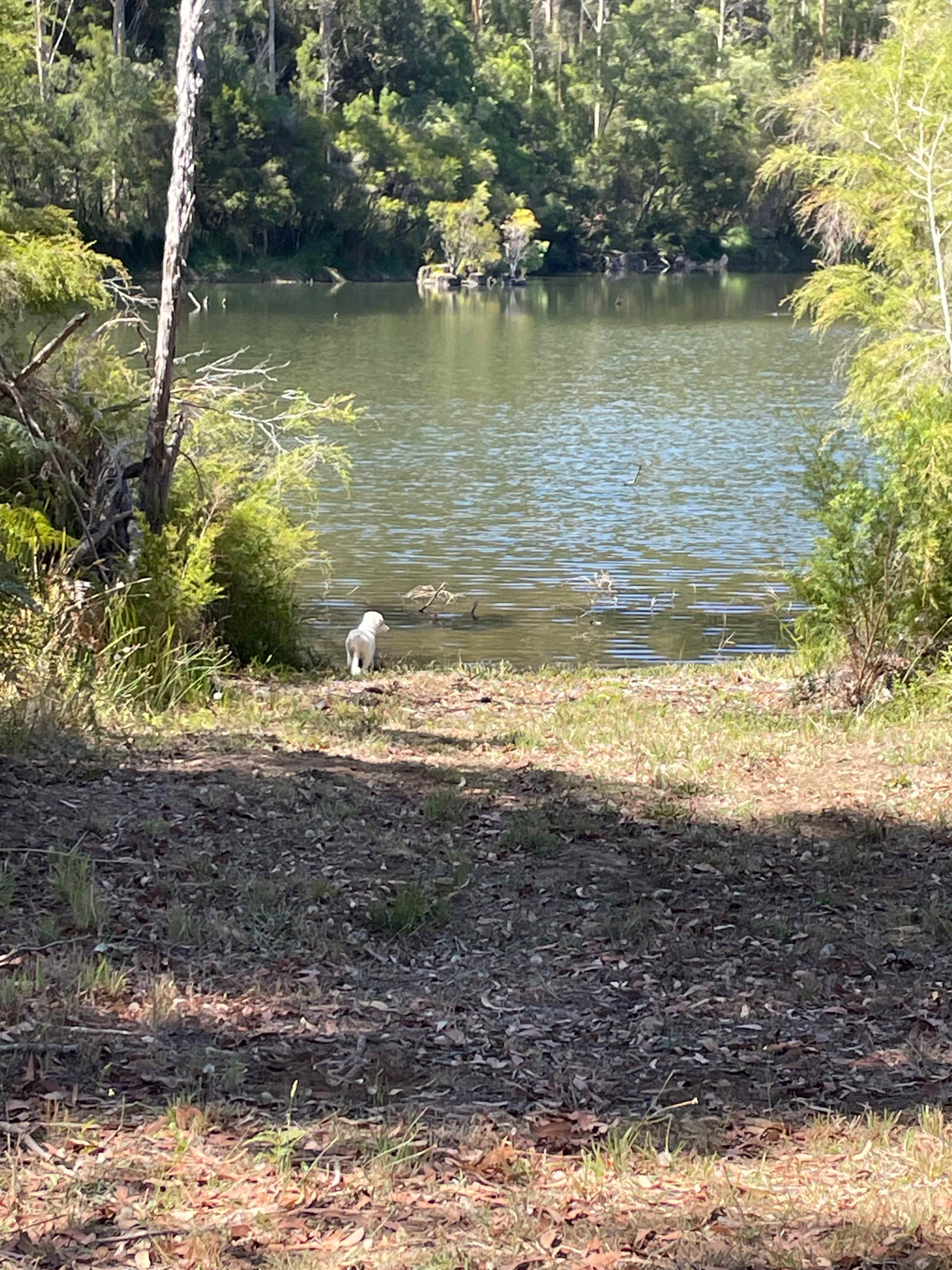 Mountford Wines & Cider Pemberton