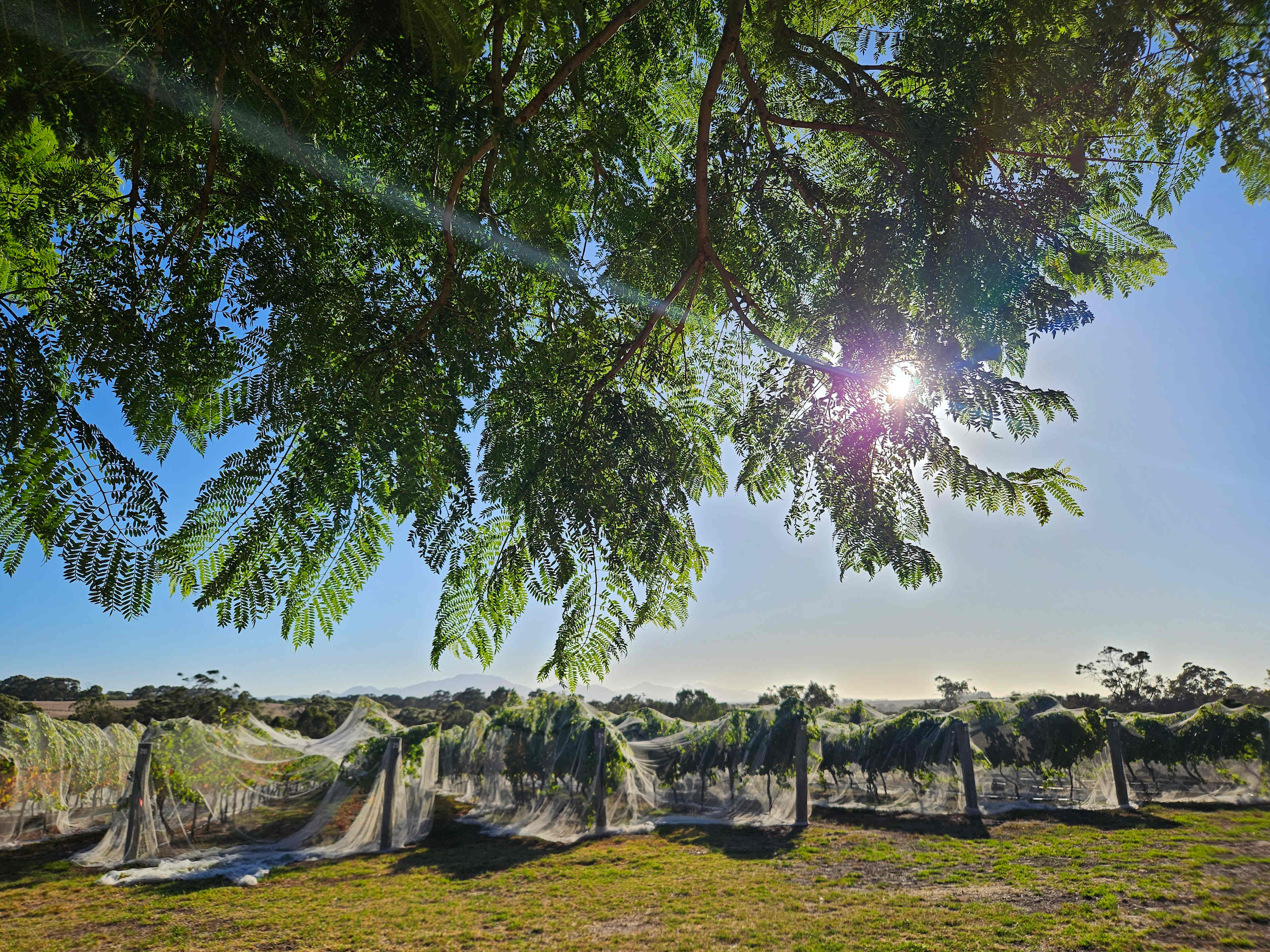 Mondurup Escape - Kendenup