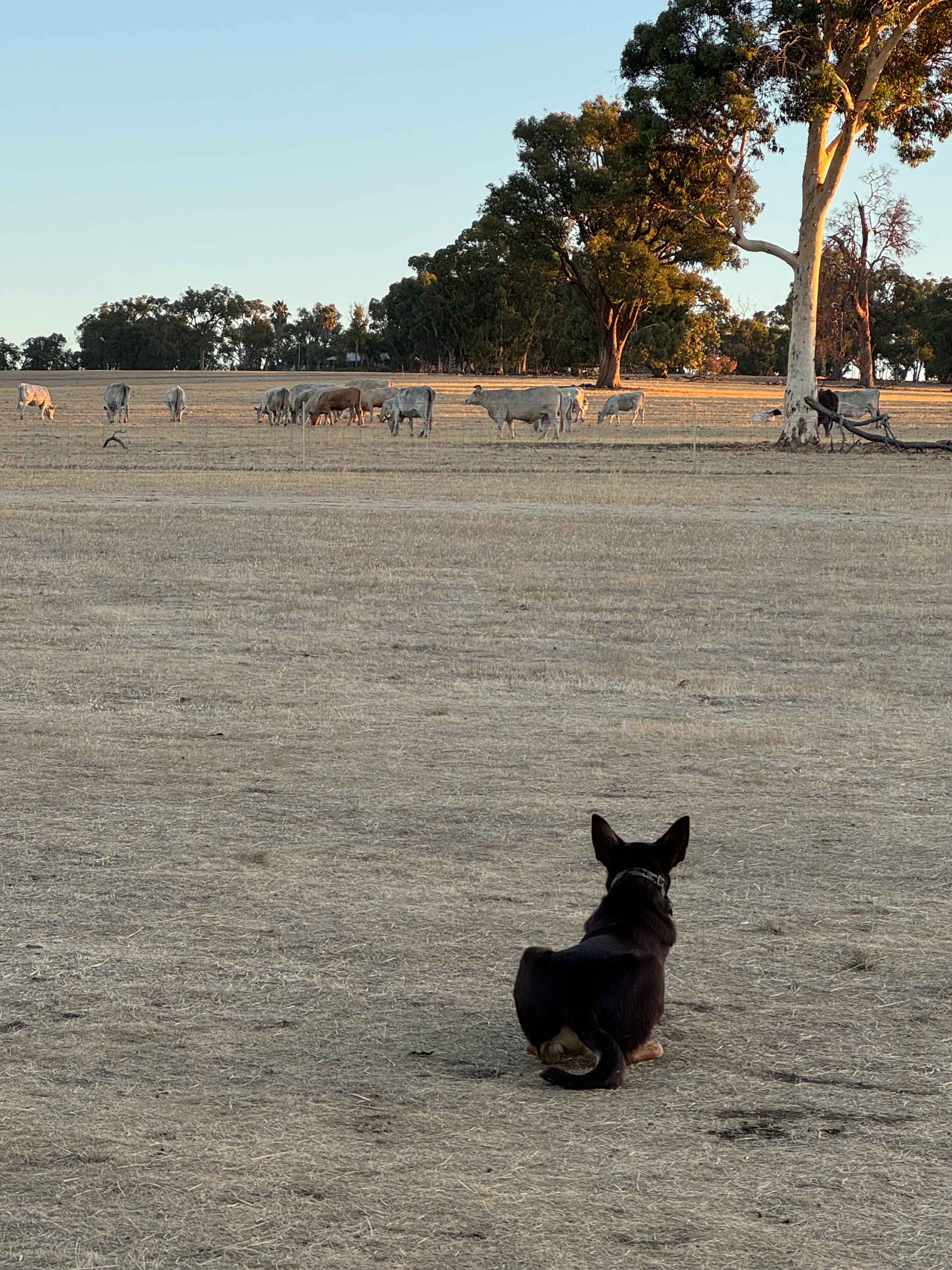 River Run At Fettlers Crossing