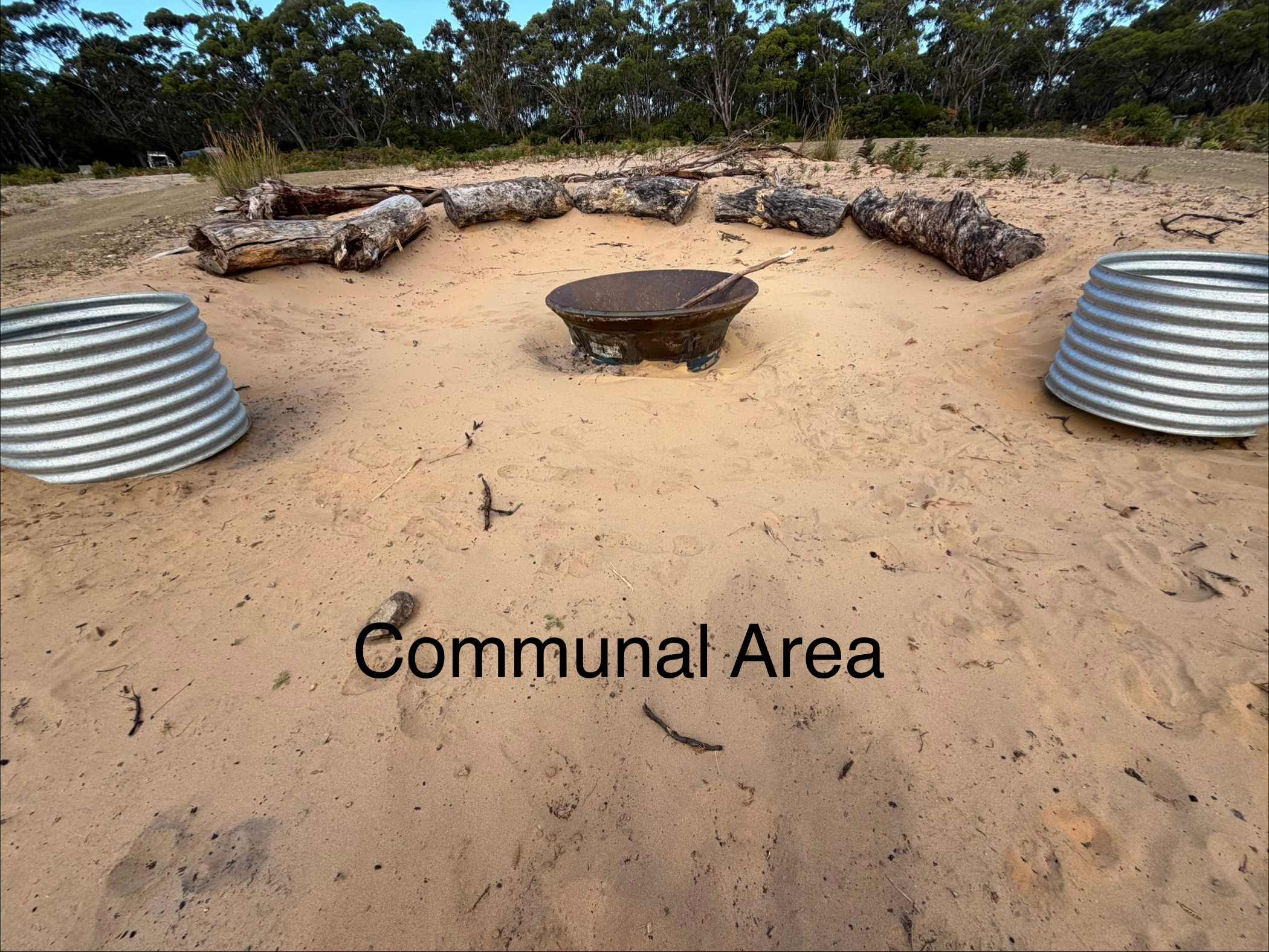 Bruny Island Long Neck