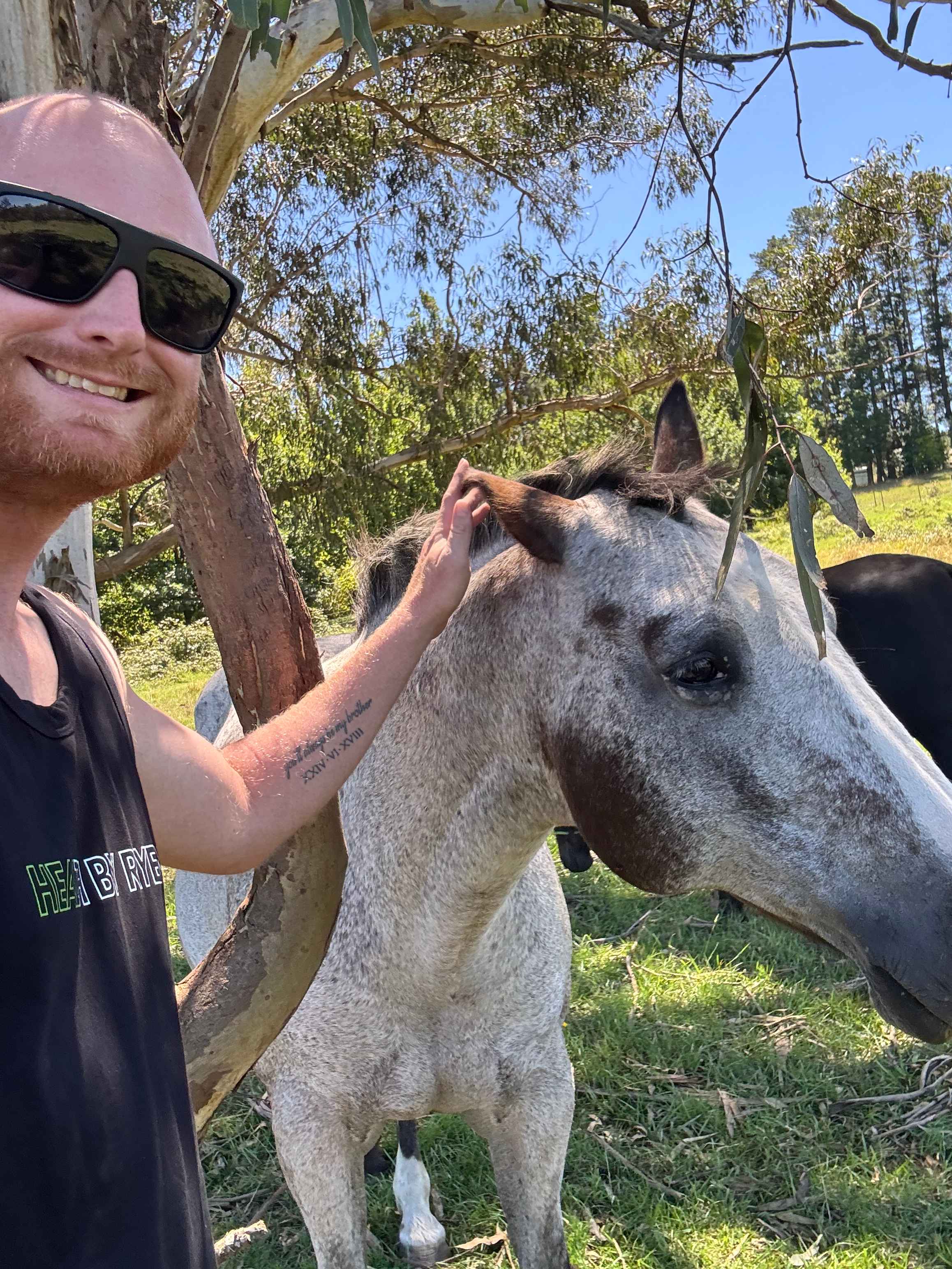 Hidden Brook Southern Highlands NSW