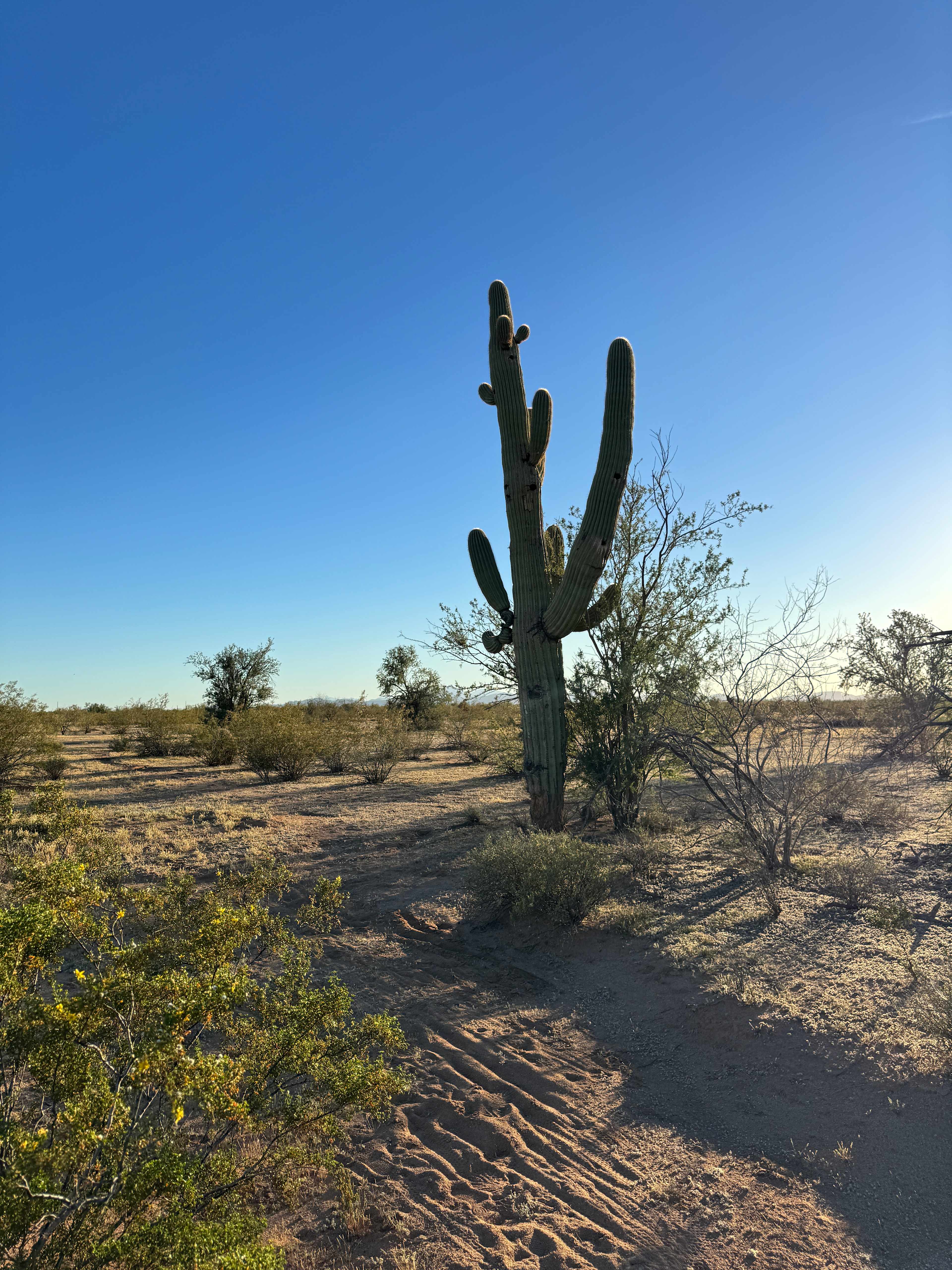 Gated Equestrian Retreat