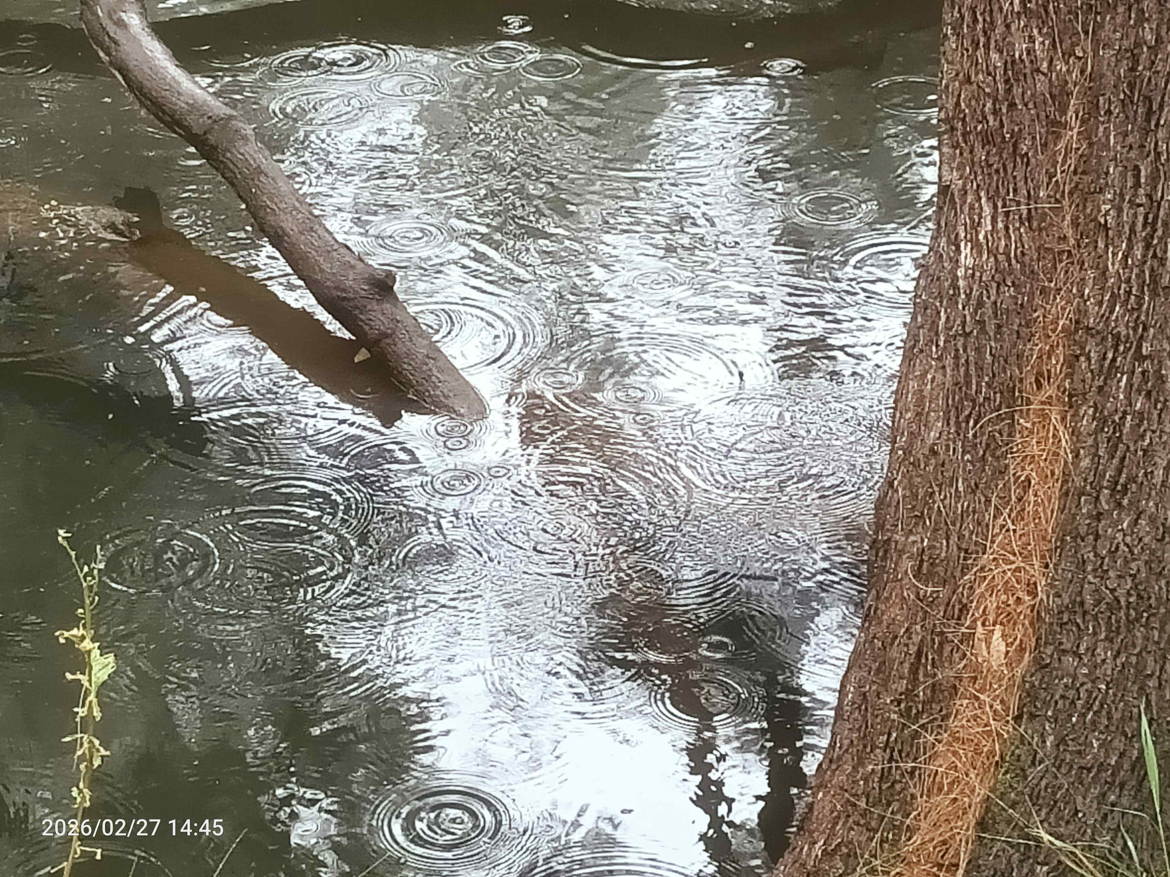 A little rain never hurt anyone.