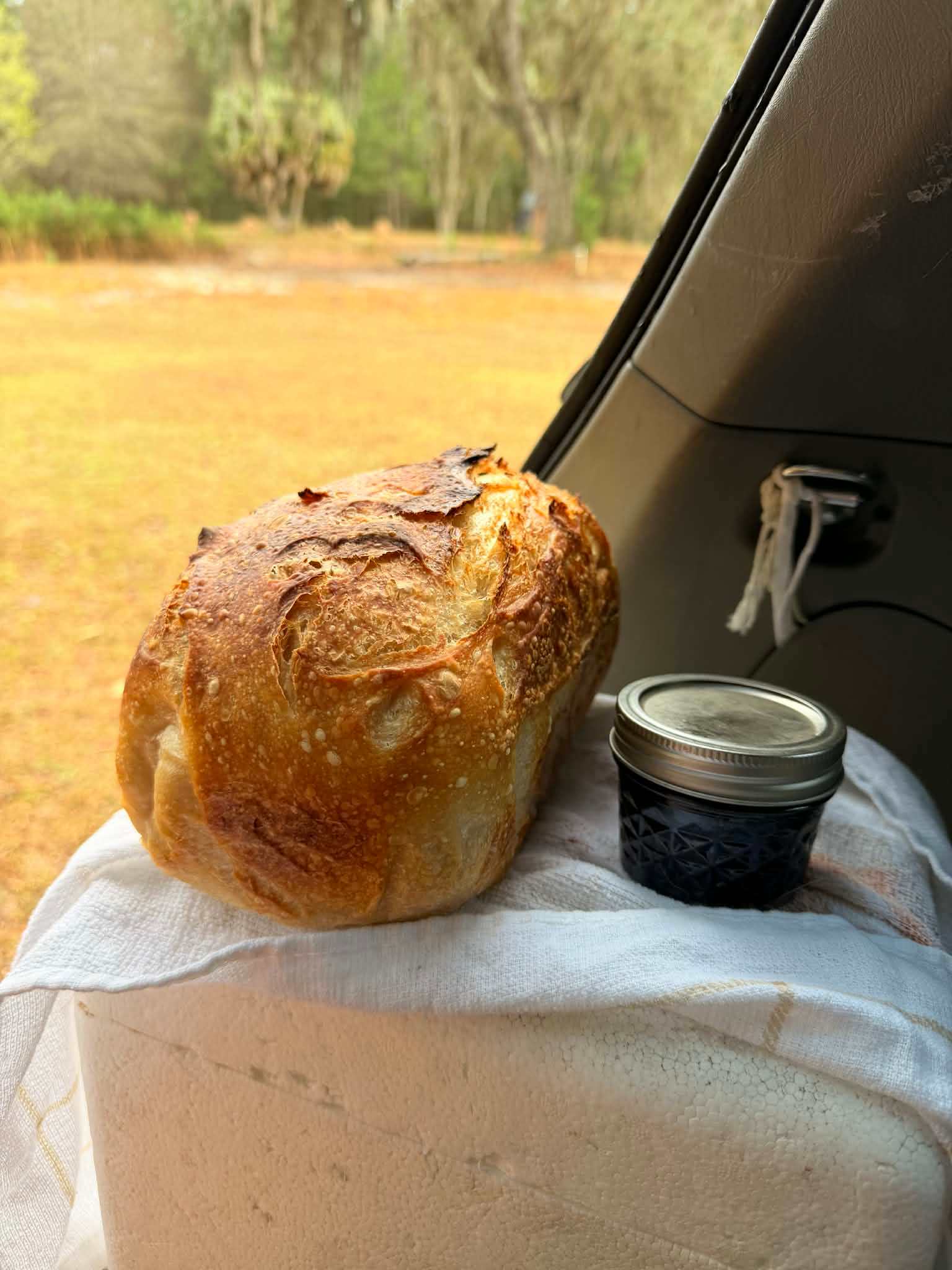 Wildflower Pond and Woodlands
