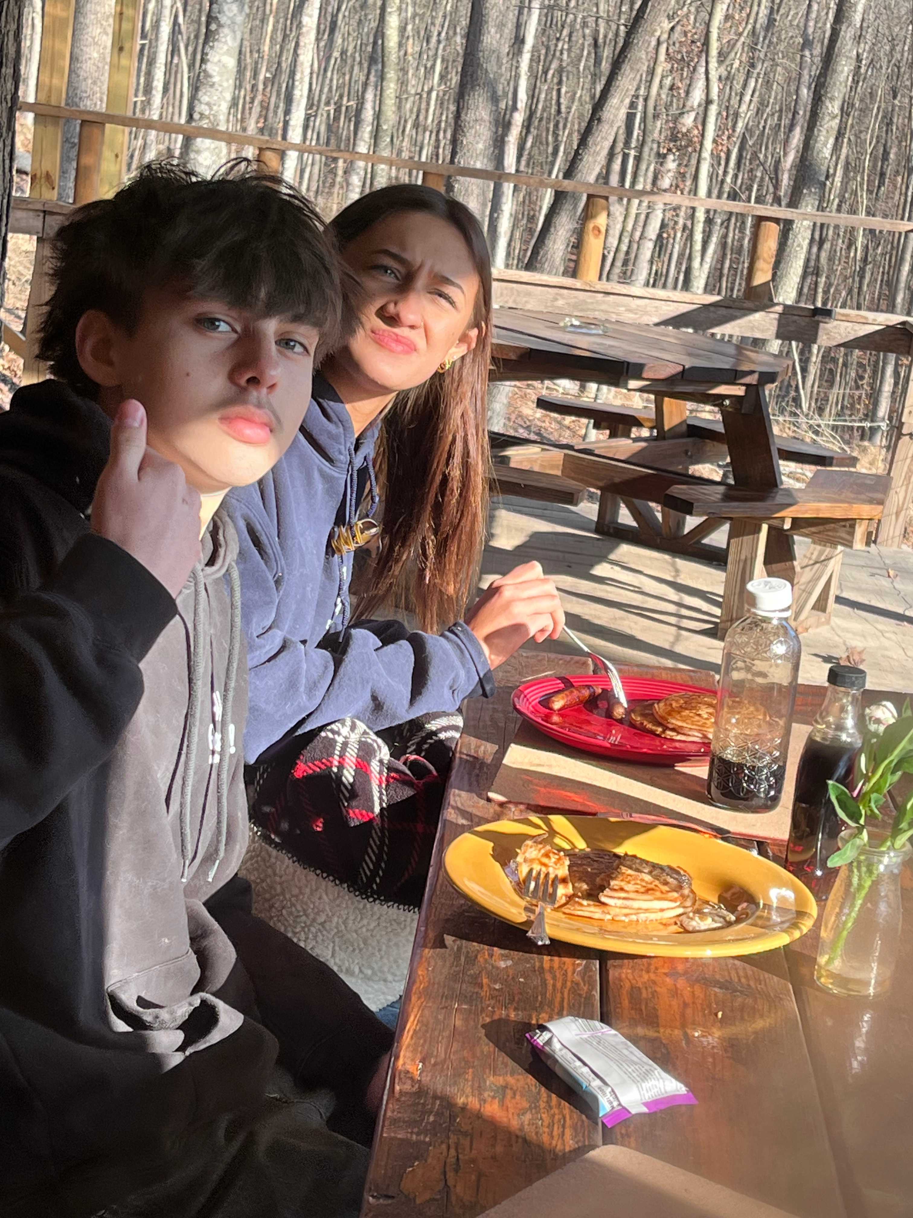 The cozy mountain cabin