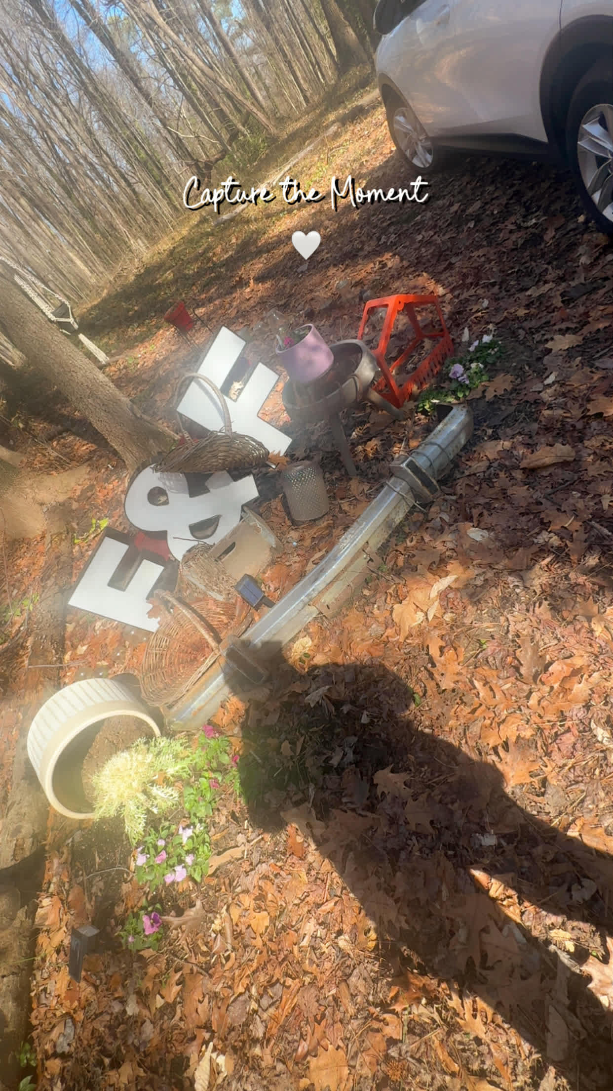 Flower & Fields Farm