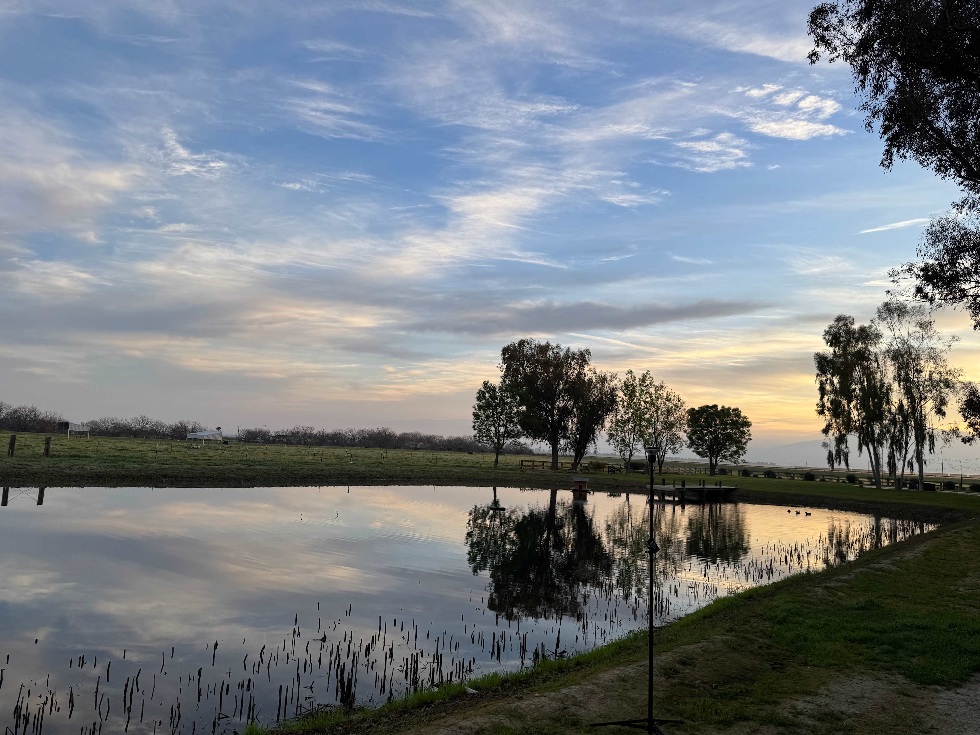 Bakersfield Farm Animals & Pond