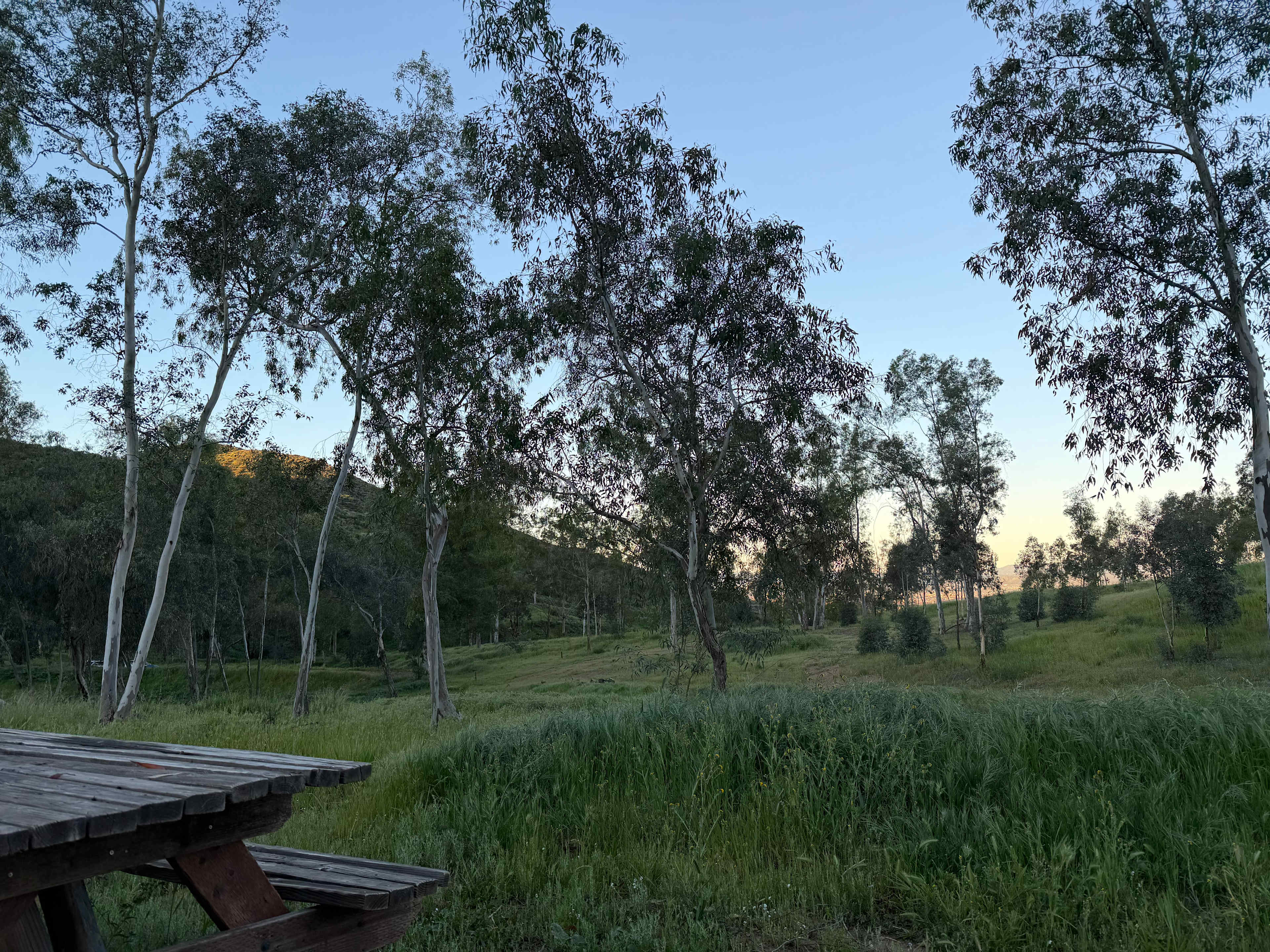 Hidden Falls Preserve