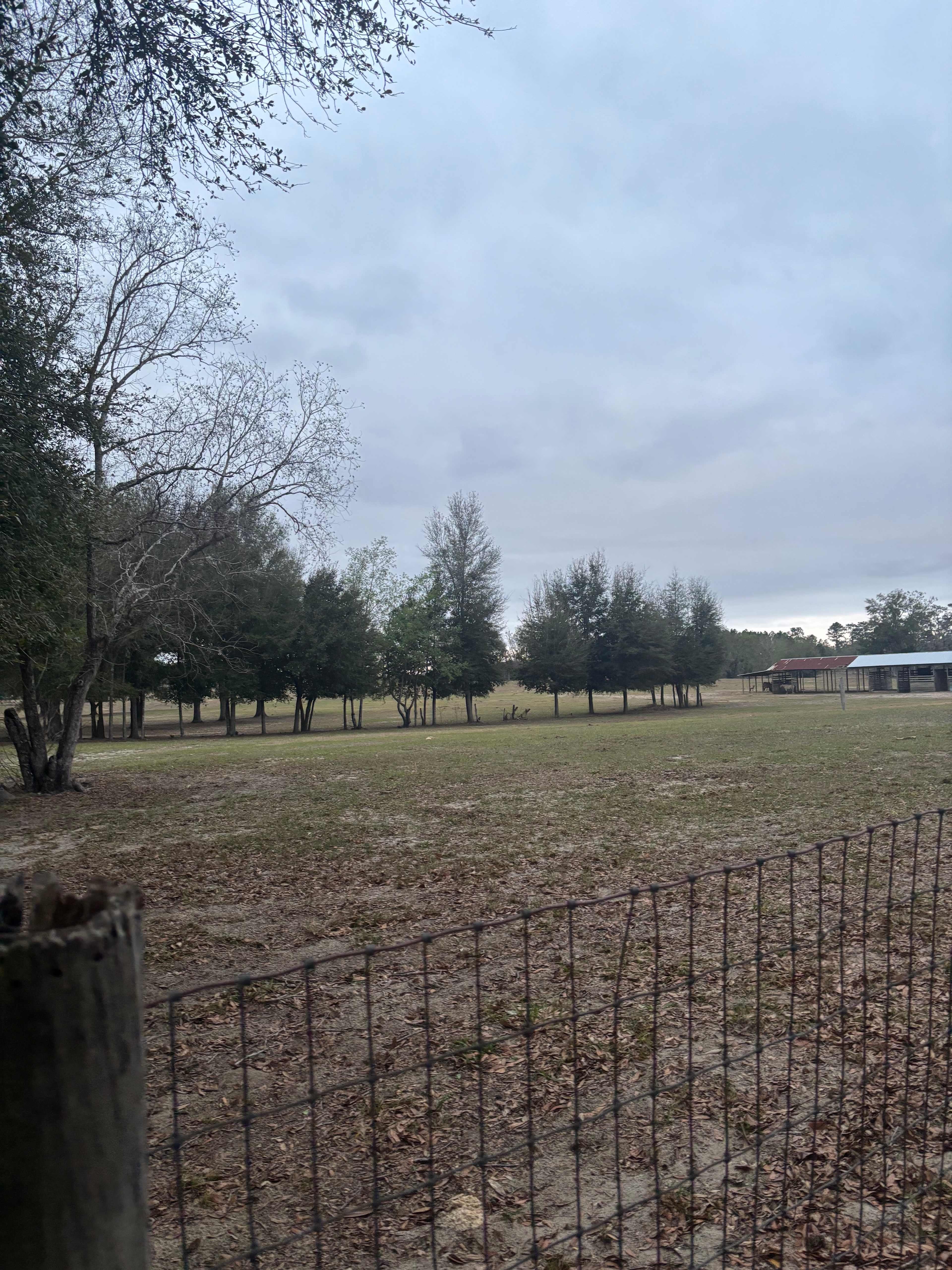 Big Oak Farm 🌳🐴🐕