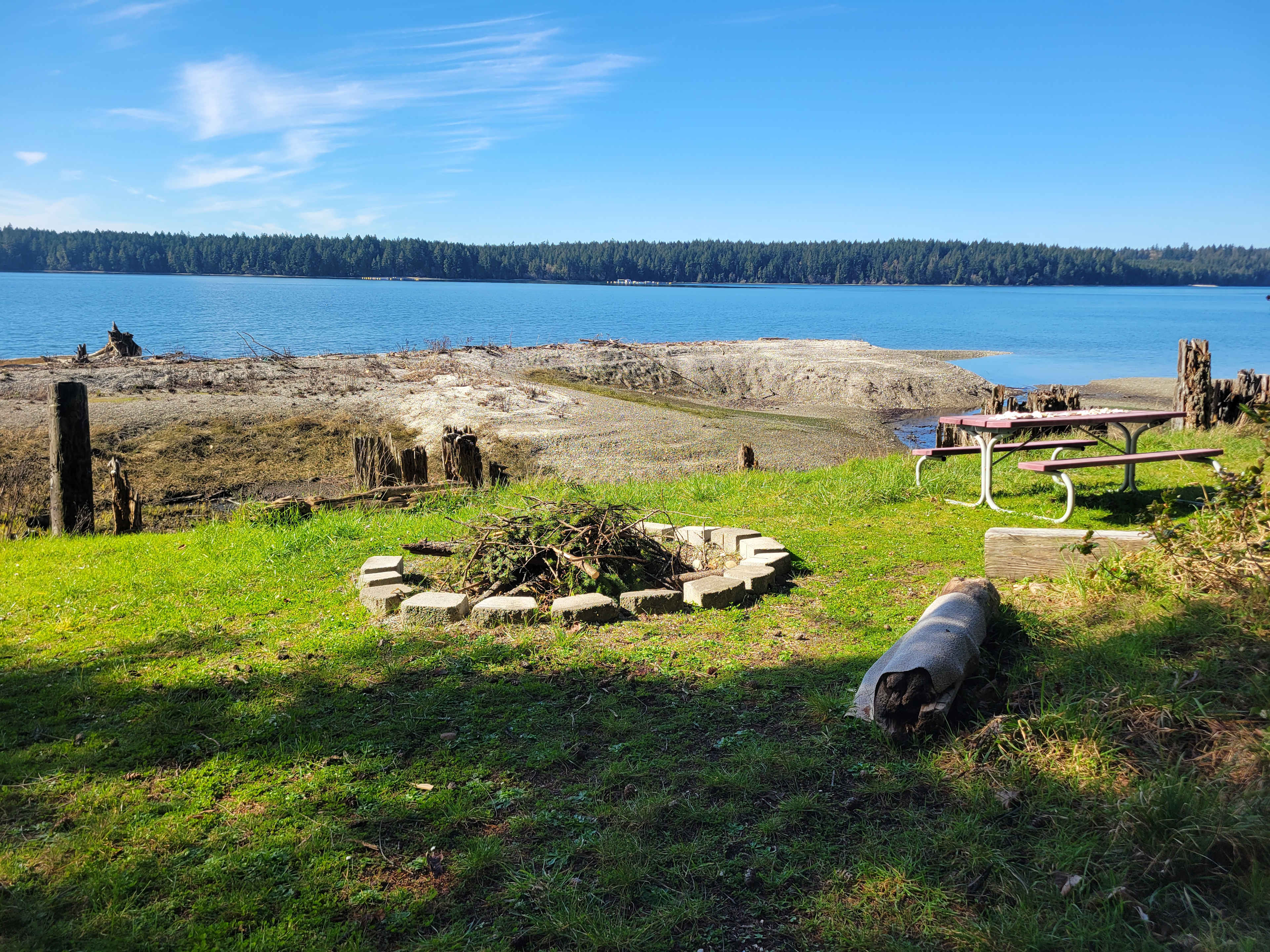 Woodland Grove on the Coast