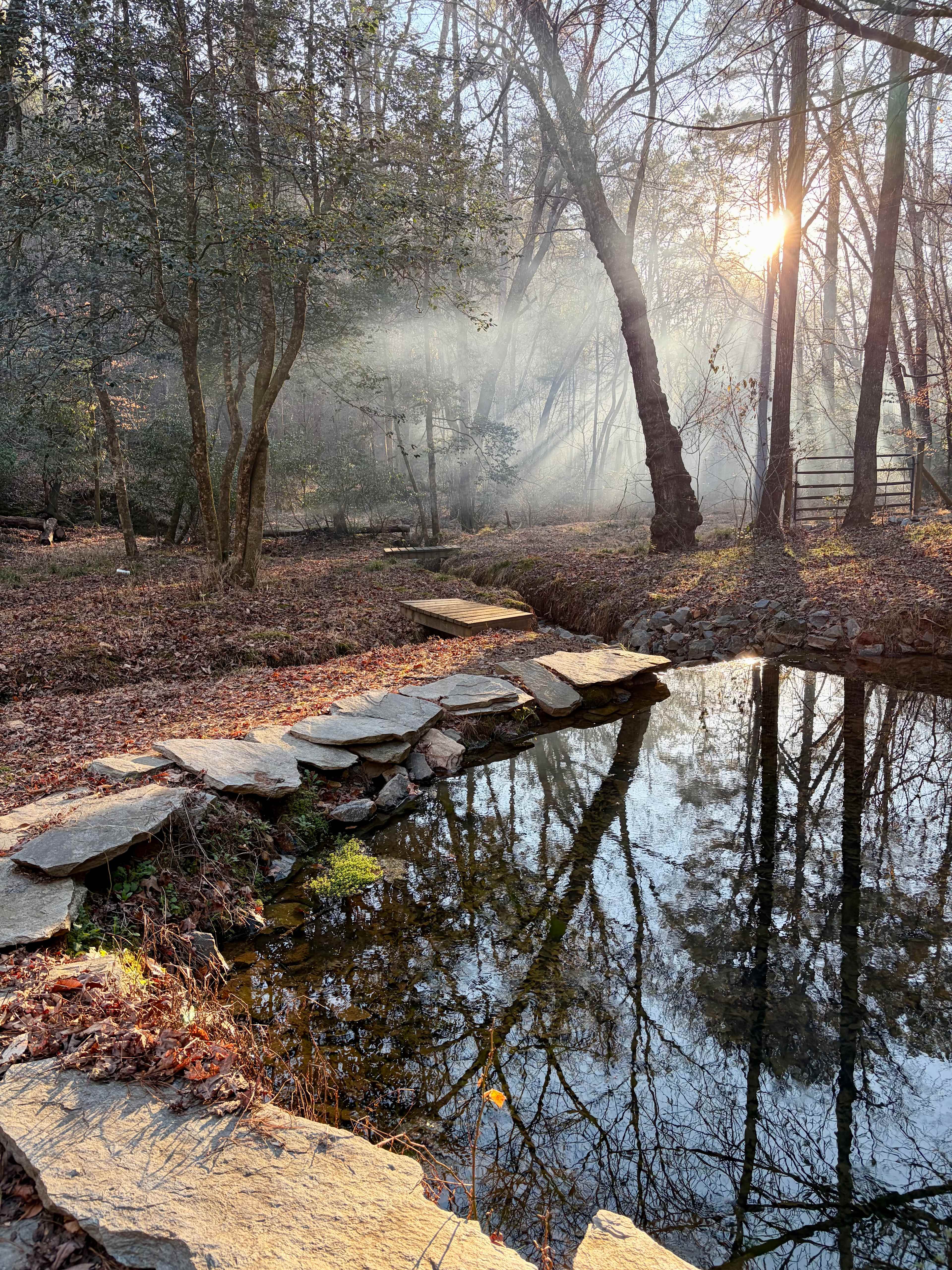 Your Toccoa River Cove!