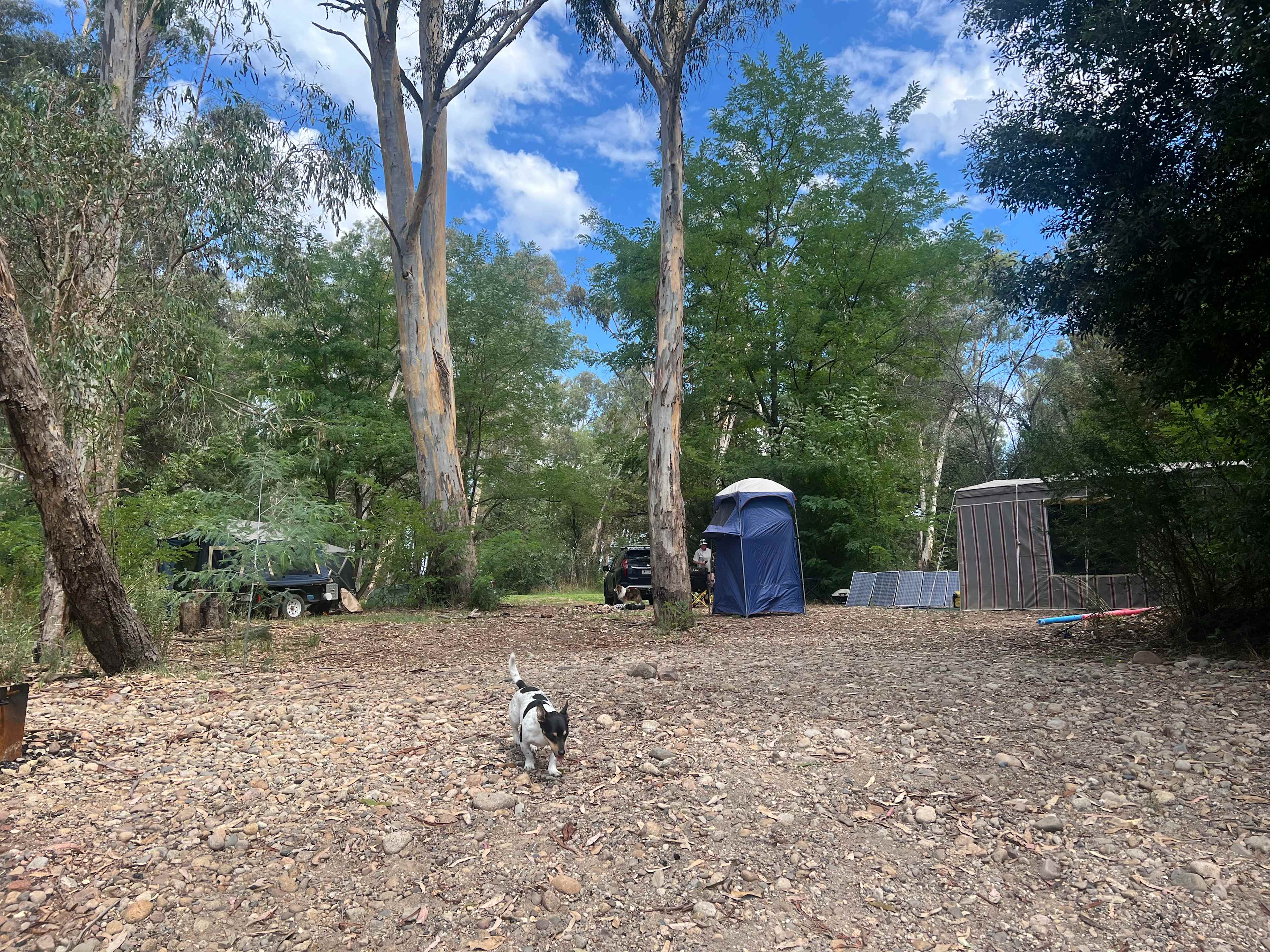 Looking up from the river 