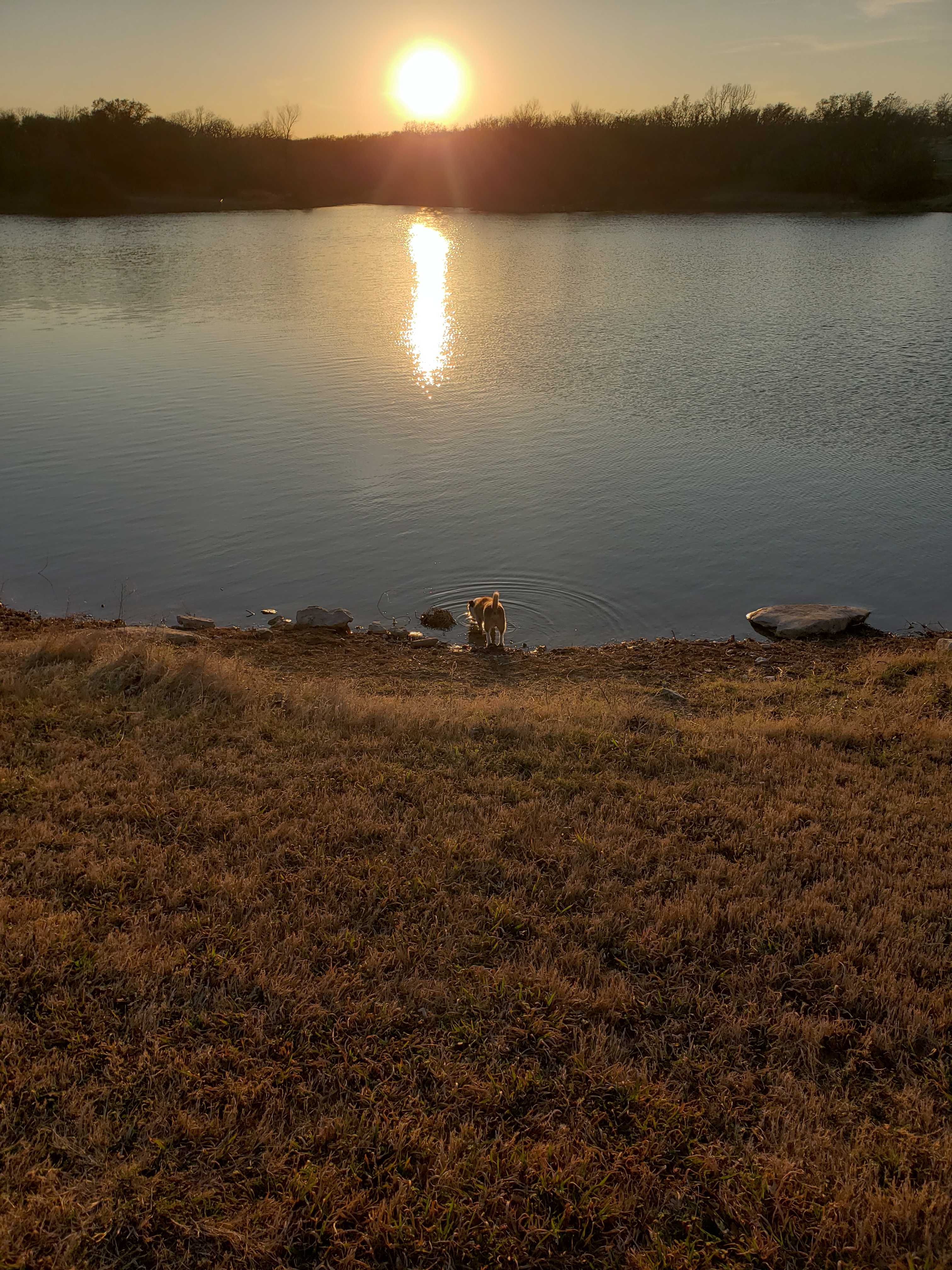 Little Off Lake House