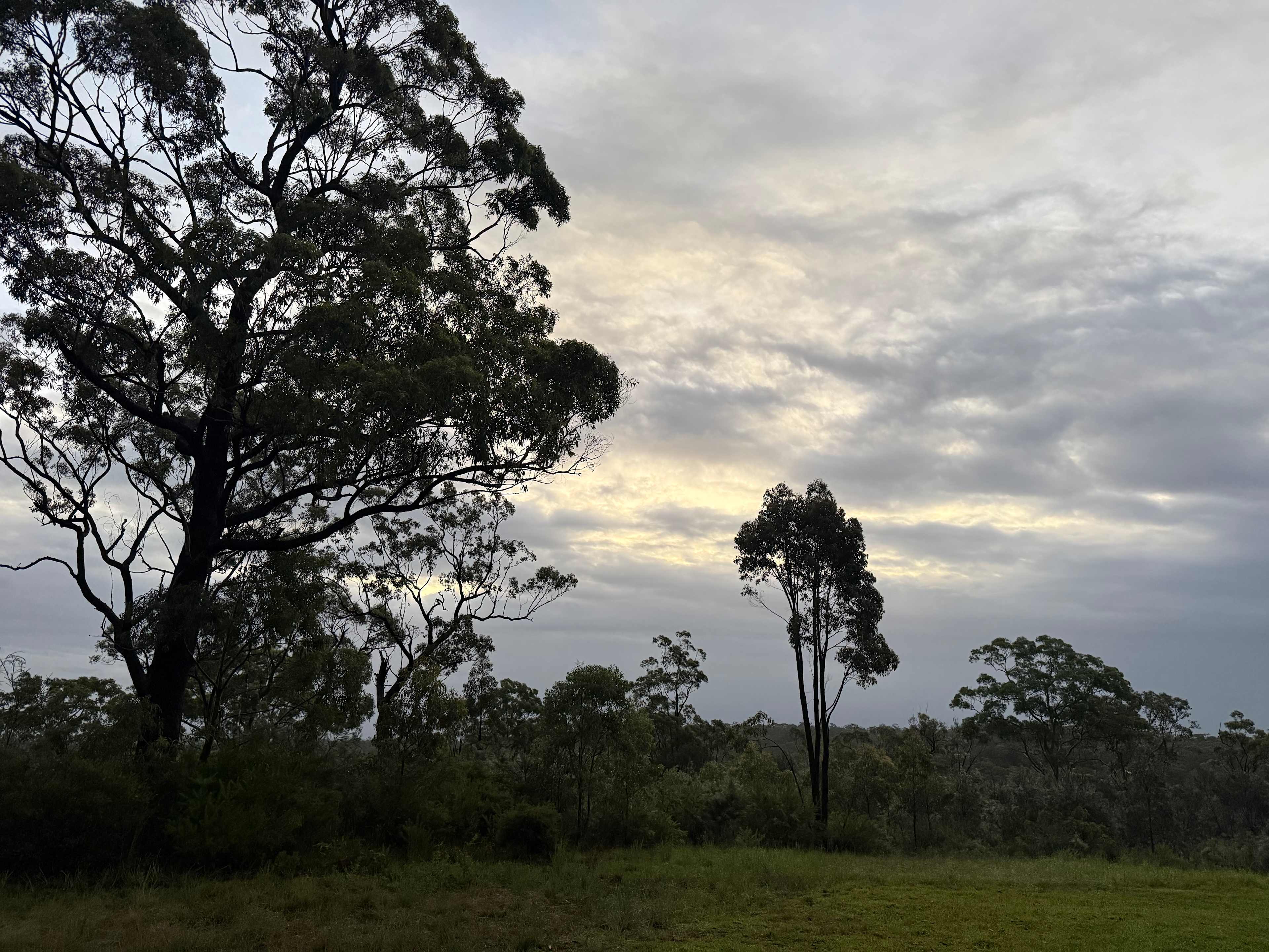 Canoelands Valley Camping