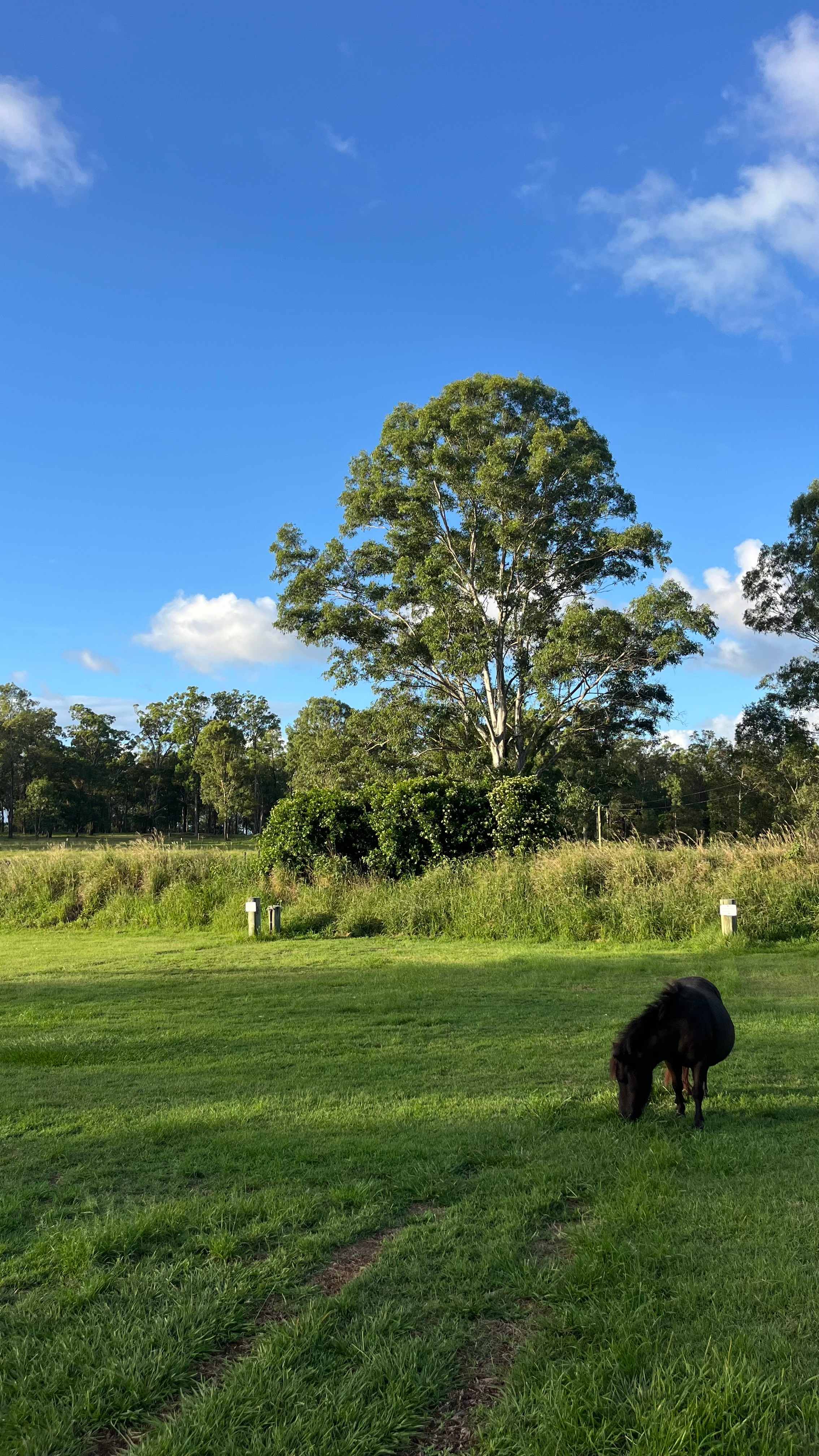 River Run Farm Camping