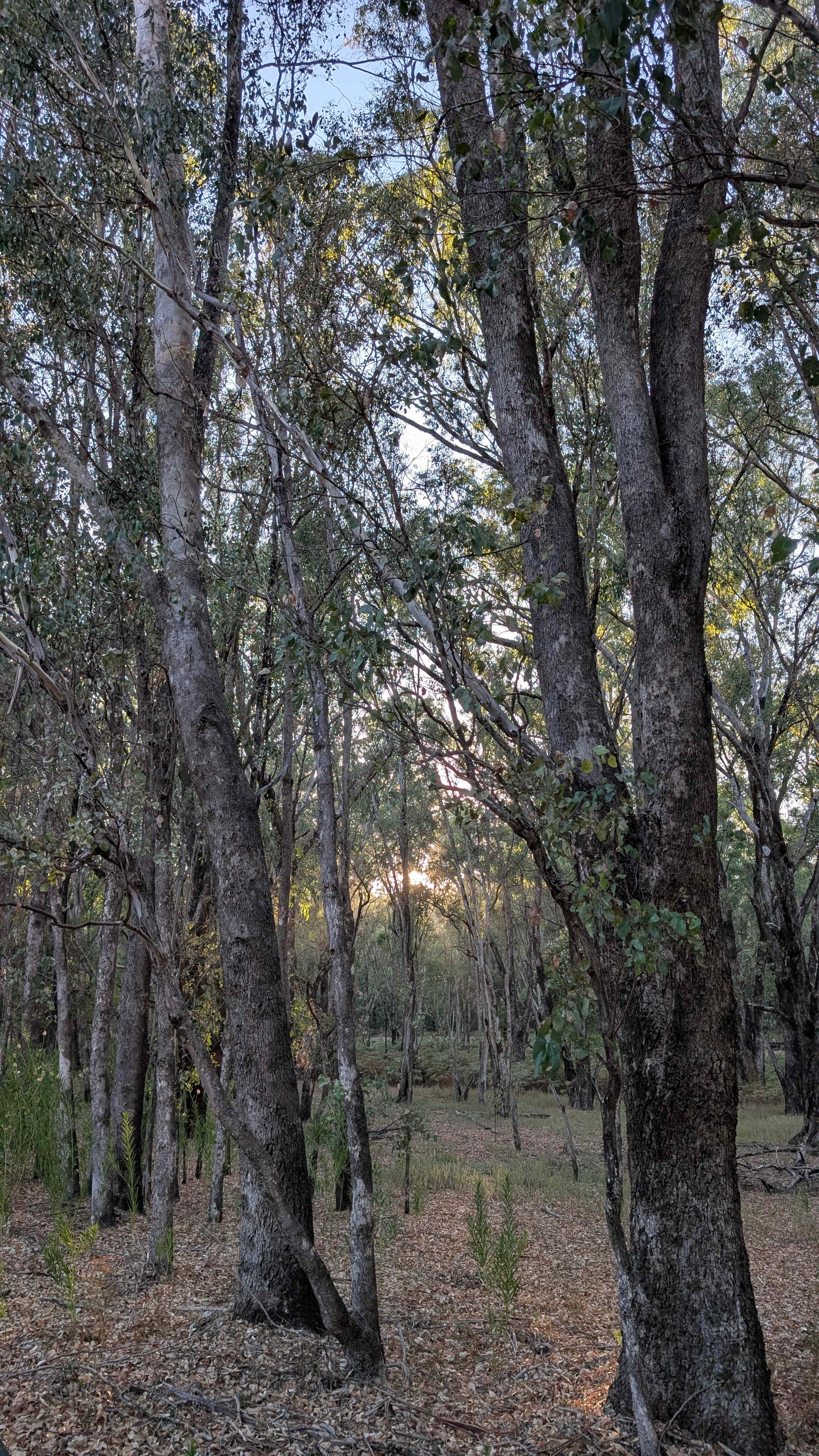 Nanga River Retreat, Dwellingup.