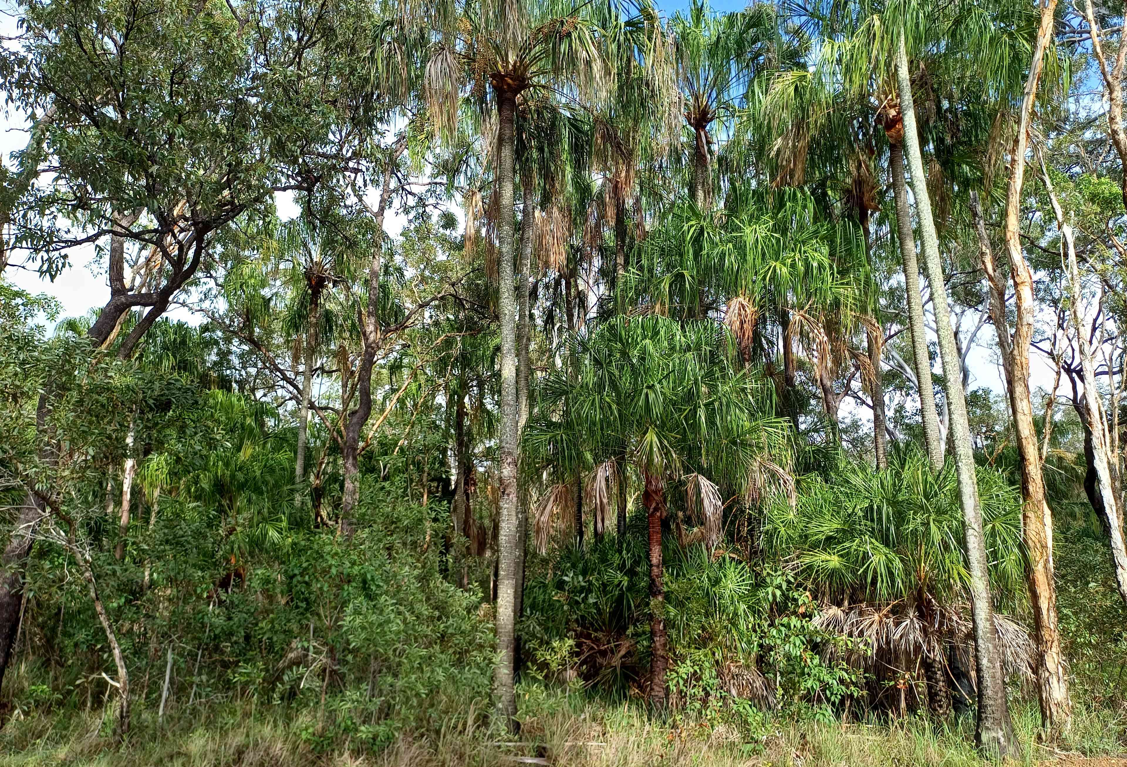 Sandy Straits Hipcamp